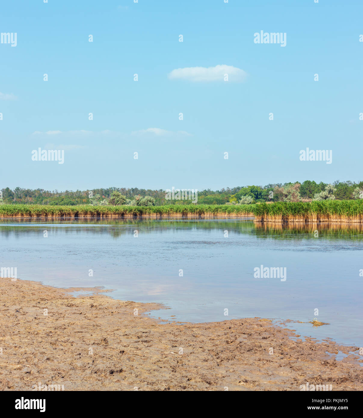 Sommer Pryschukove blaue See Landschaft (Region von Kherson, Ukraine). Stockfoto