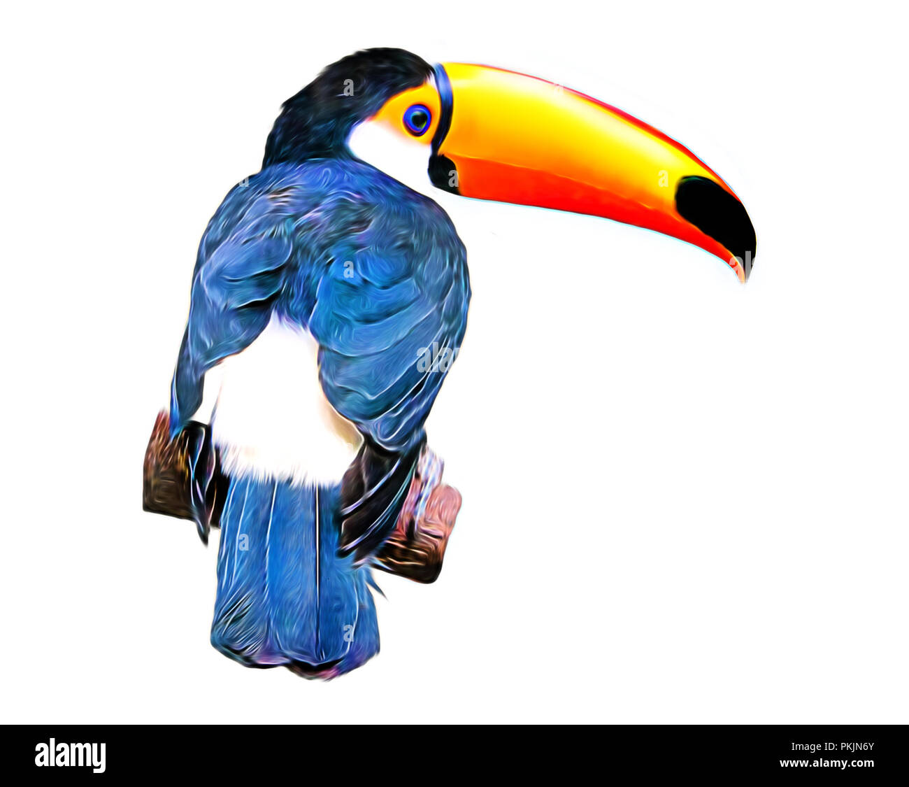 Realistische Illustation der Toucan Toco Vogel zurück sitzen auf einem Ast auf weißem Hintergrund. Auch als die gemeinsame Toucan oder Toucan bekannt Stockfoto