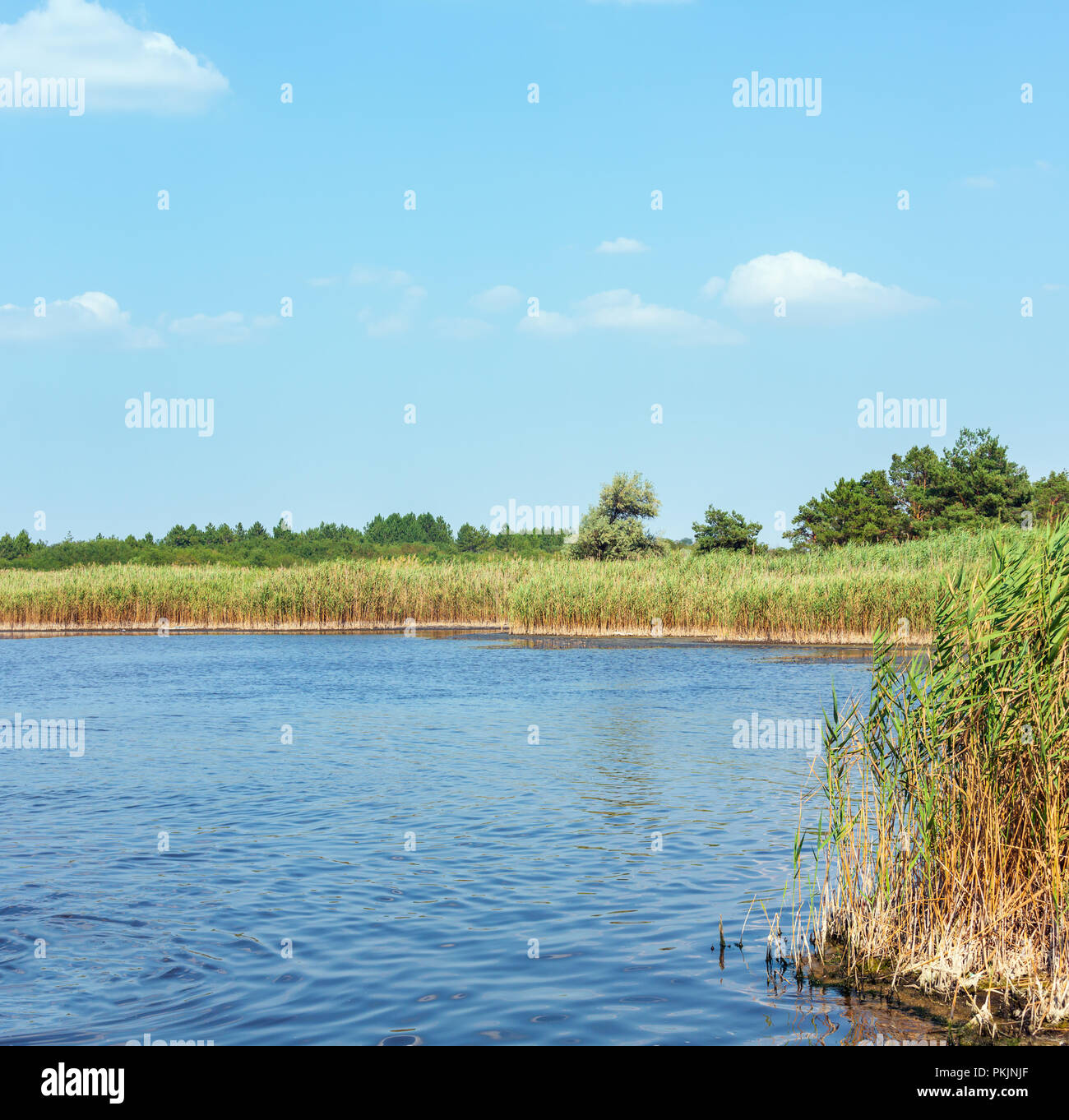 Sommer Pryschukove blaue See Landschaft (Region von Kherson, Ukraine). Stockfoto