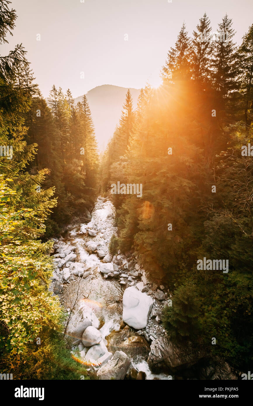 Nationalpark Tatra, Polen. Sonnenaufgang über dem Wasserfall Wodogrzmoty Mickiewicza im Sommer Bergwelt. Morgen Sonne Sonnenschein Sonnenlicht durch Baum Stockfoto