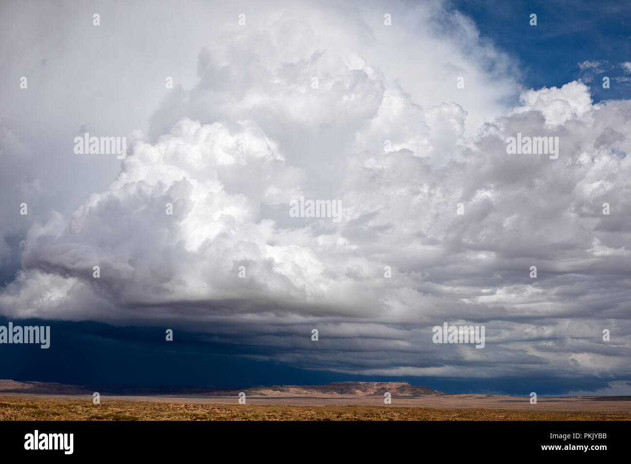 Aufragende Cumulonimbus-Wolken mit blauem Himmel Stockfoto