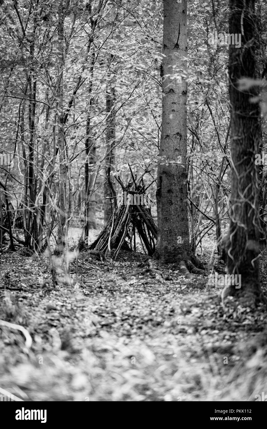 Hand Zuflucht, Natürliche Wälder Stockfoto