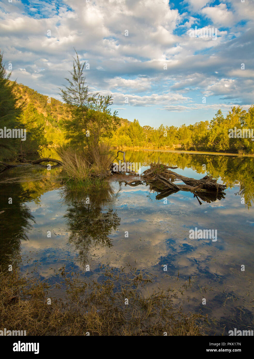 Australische Landschaft mit Wald und blauer Himmel mit Wolken in perfekter Spiegelfläche von Macleay Fluss in NSW wider Stockfoto