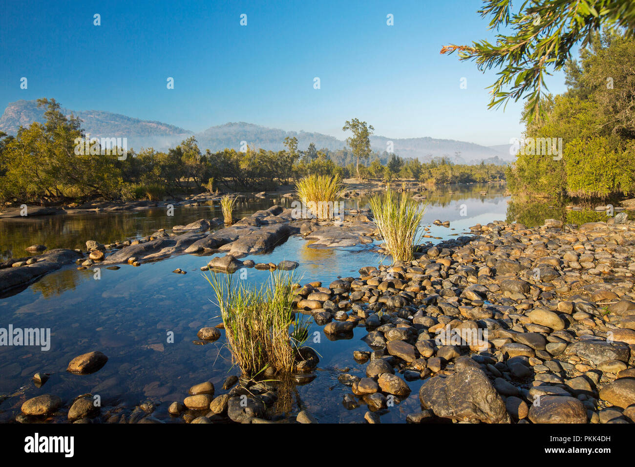 Atemberaubende australische Landschaft mit Felsen verstreut blaue Wasser von Mann Fluss gesäumt von Wäldern am Fuße der Bereiche unter blauem Himmel des frühen Morgens in NSW Stockfoto