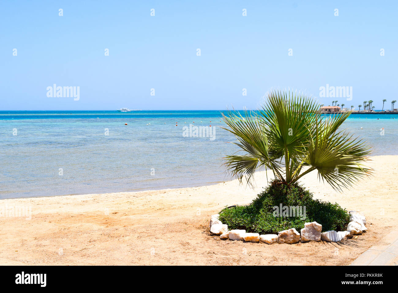 Ozean vor Hurghada, Rotes Meer, Blick über ein Dock im Roten Meer, Palmen am Strand Stockfoto