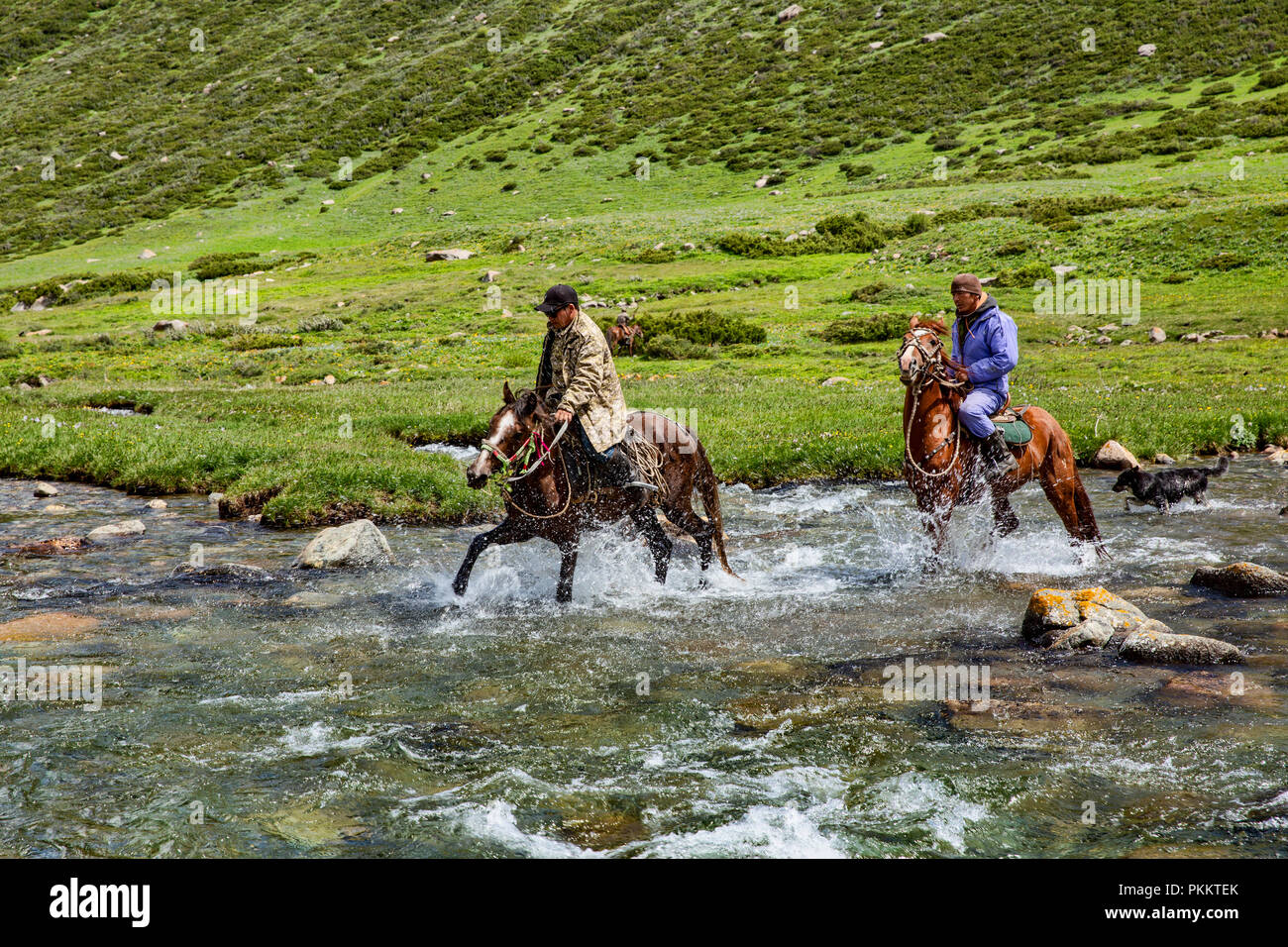 Reiter kreuz Tup Fluss, Keskenkyia Loop trek, Jyrgalan, Kirgisistan Stockfoto