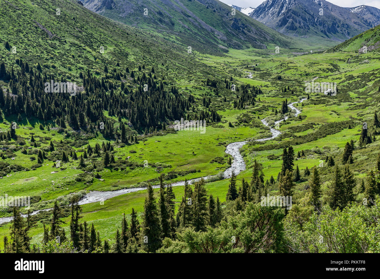 Tup Fluss fließt durch üppige Tal, Keskenkyia Loop trek, Jyrgalan, Kirgisistan Stockfoto