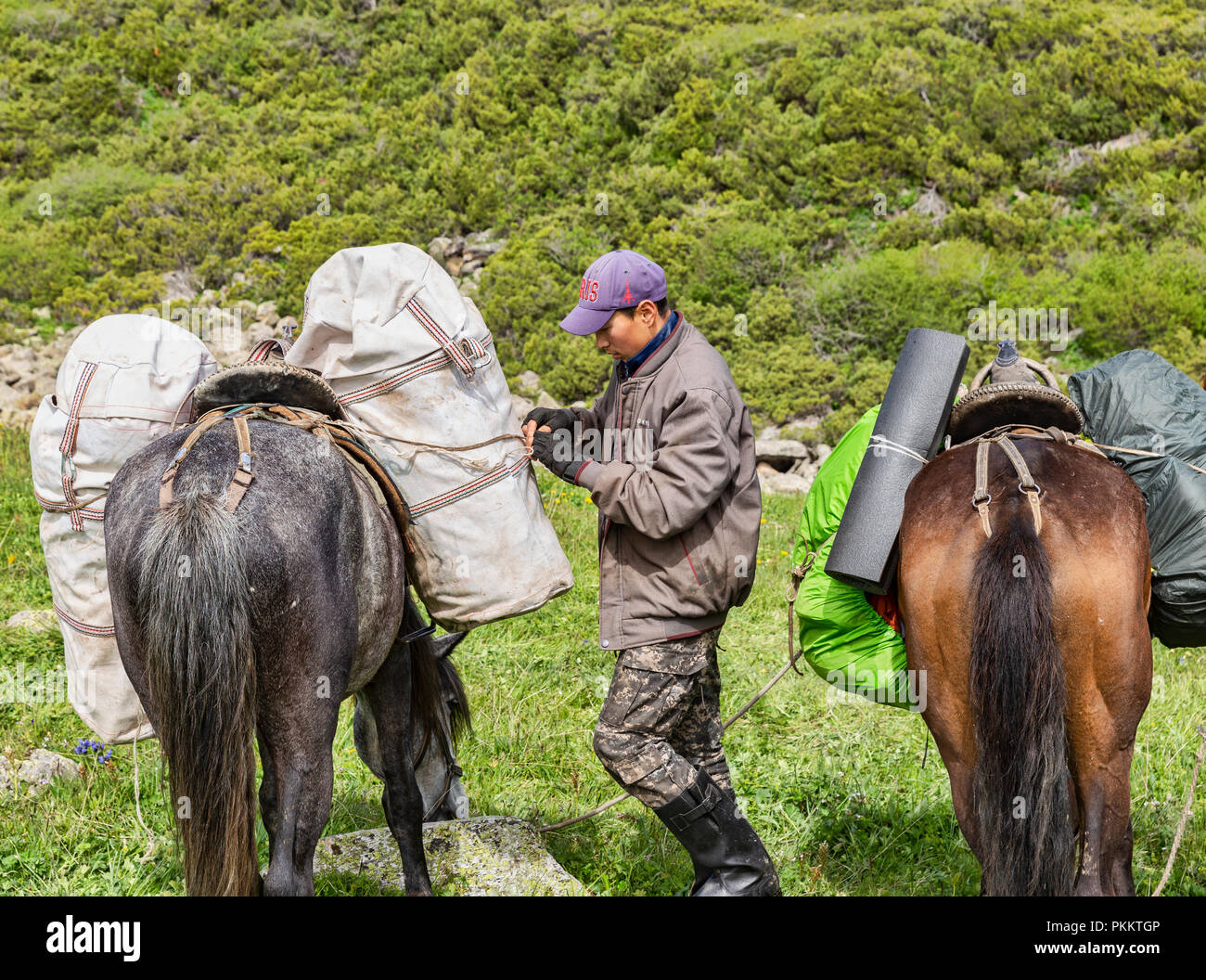 Kirgisische Reiter packs Pferde, Keskenkyia Loop trek, Jyrgalan, Kirgisistan Stockfoto