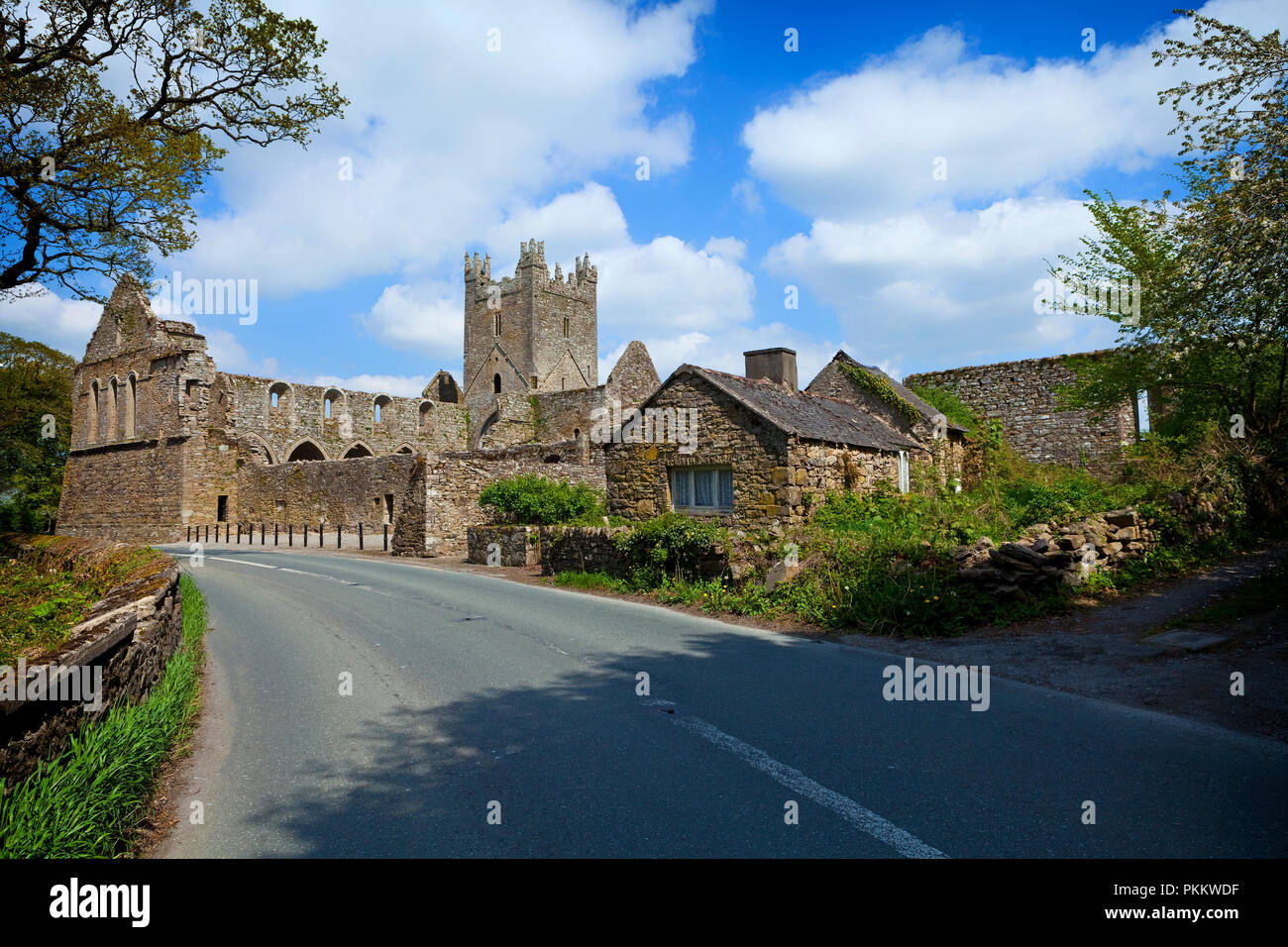 Jerpoint Abbey, eine zerstörte Zisterzienserabtei, im 12. Jahrhundert gegründet wurde, in der Nähe von Thomastown, County Kilkenny, Irland. Stockfoto