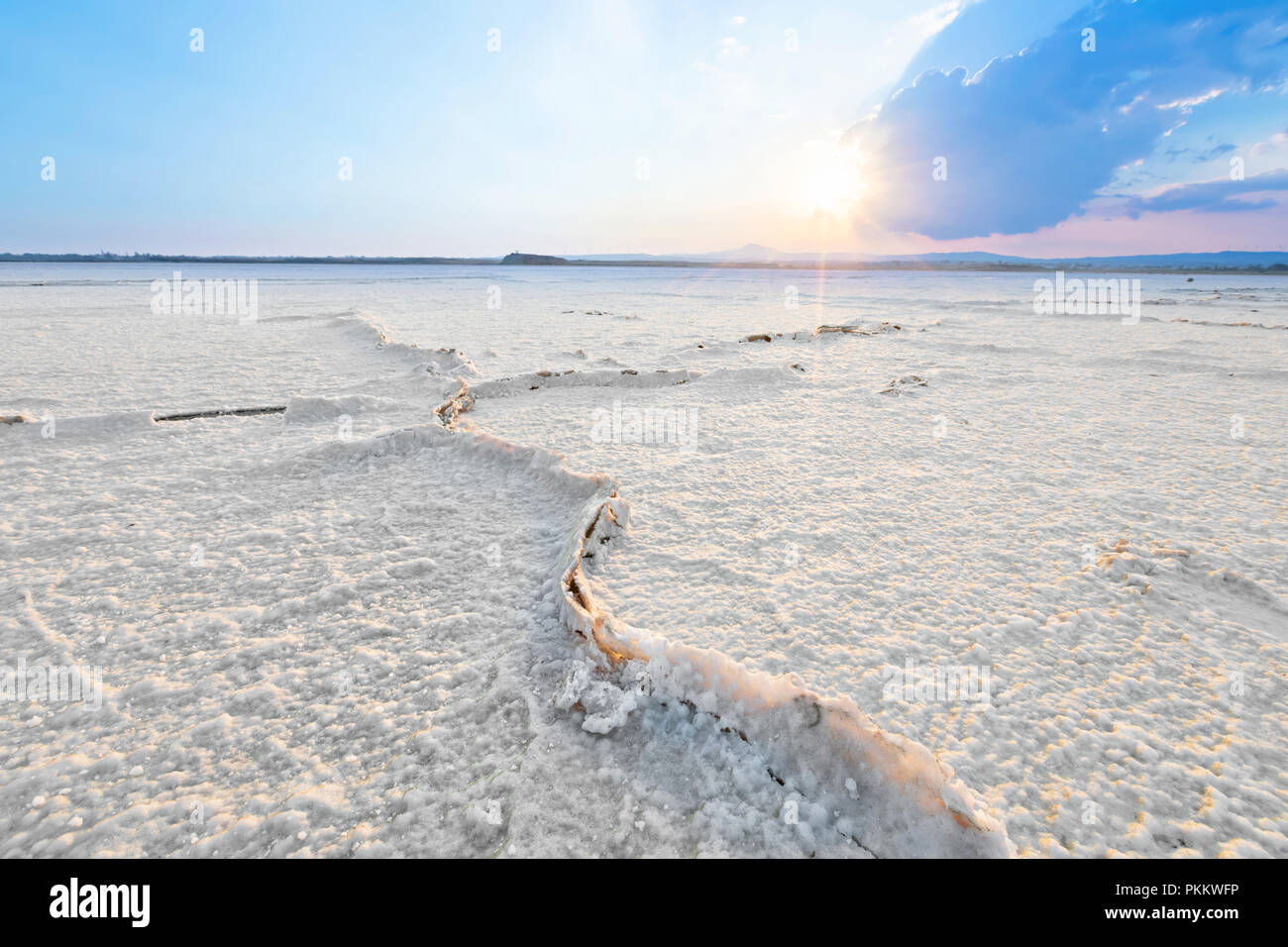 Сracks auf der Oberfläche der getrockneten Salzsee von Larnaca, Zypern Stockfoto