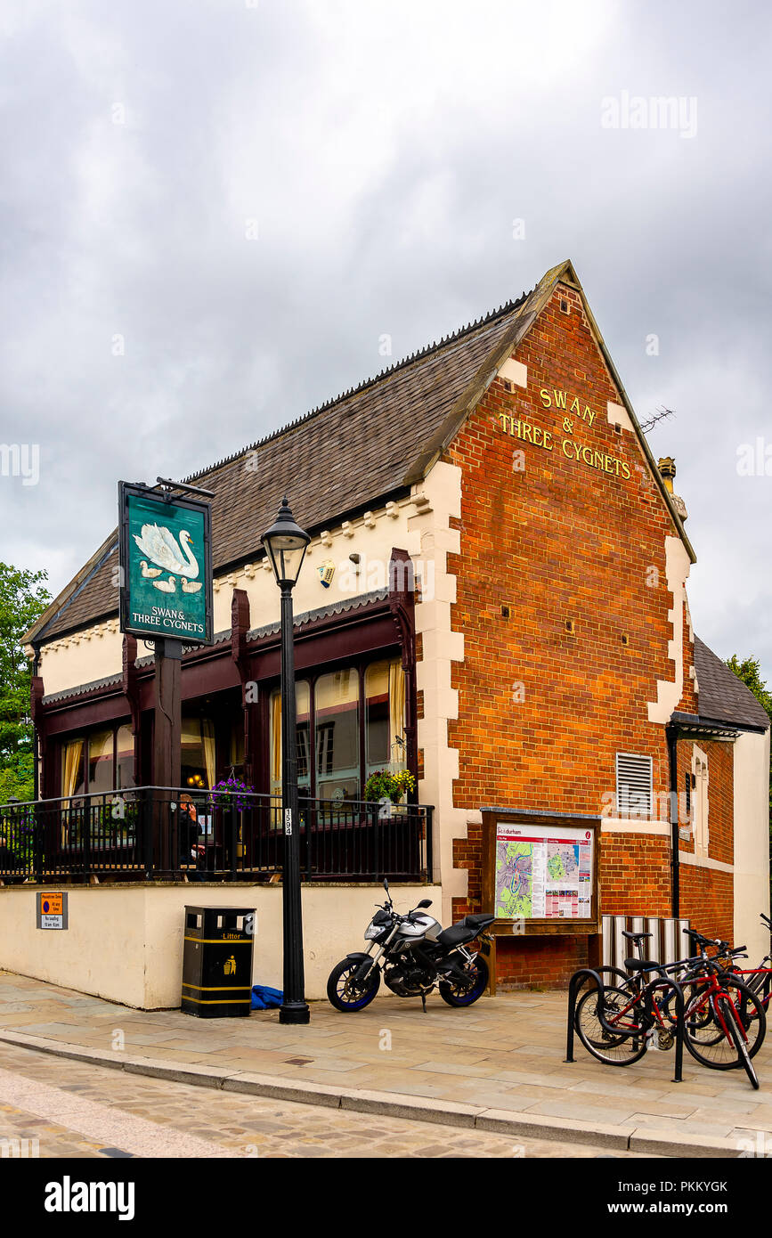 Swan & drei Cygnets bar Elvet Brücke, Durham, Großbritannien Stockfoto Swan & drei Cygnets bar Elvet Brücke, Durham, Großbritannien Stockfoto