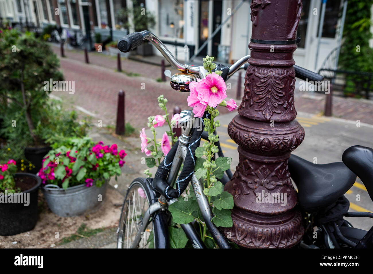 Bike Nutzung in Amsterdam hat um mehr als 40% in den letzten 20 Jahren gewachsen. Stockfoto