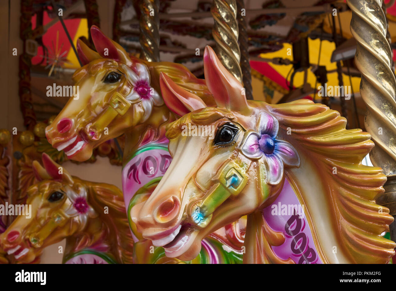 Karussell, Pferd, Kopf, Pferde, Köpfe, Detail, Messegelände, Merry go round, Jahrmarkt, Messe, Ride, Stockfoto