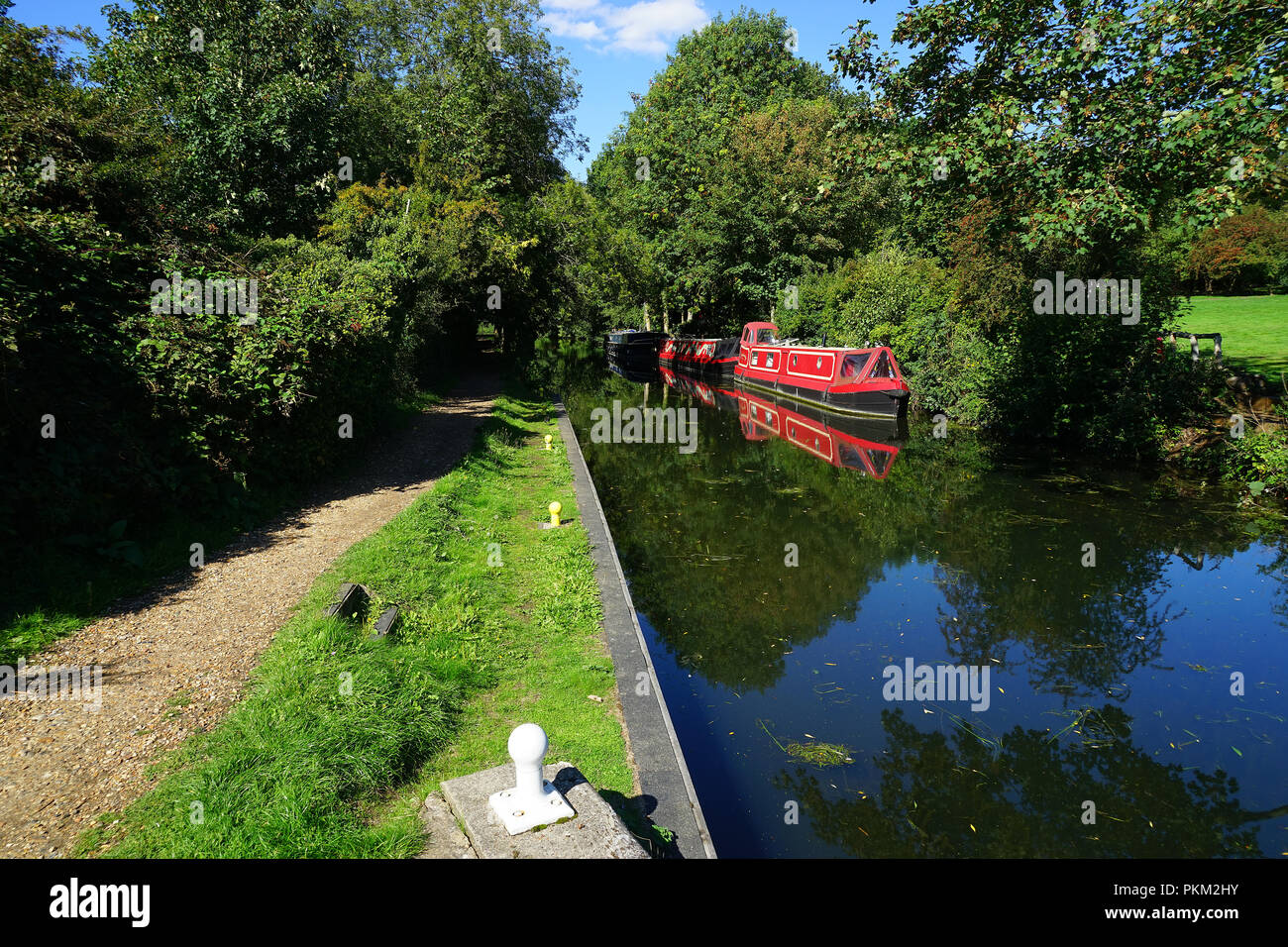 Ein Blick von der Treidelpfad an der Stort Navigation Stockfoto