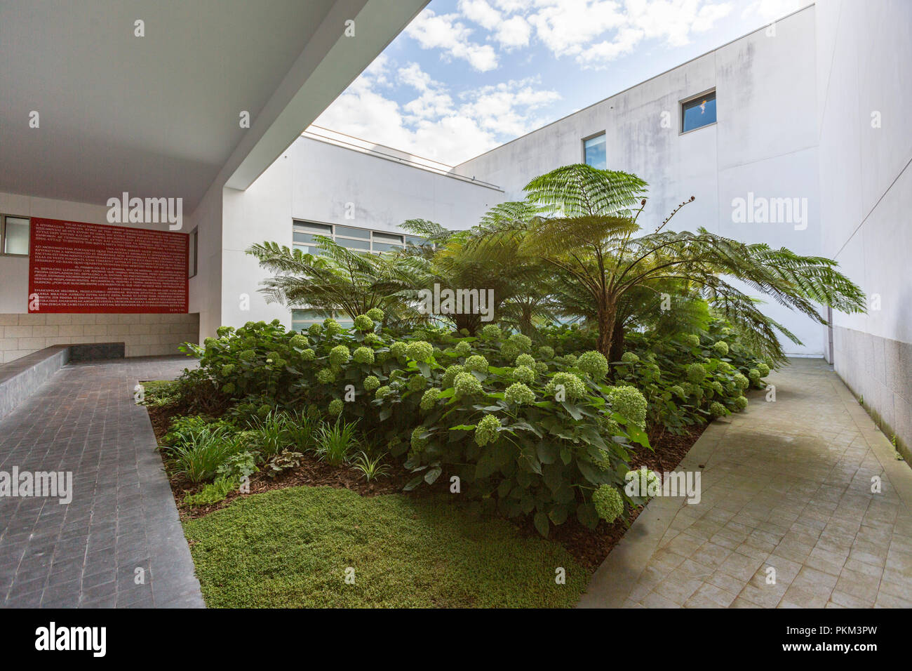 Kreuzgang mit Garten von Farnen in Iesu Kirche Iglesia de Iesu, Rafael Moneo Architekt, San Sebastián, Guipúzcoa, Baskenland, Spanien Stockfoto