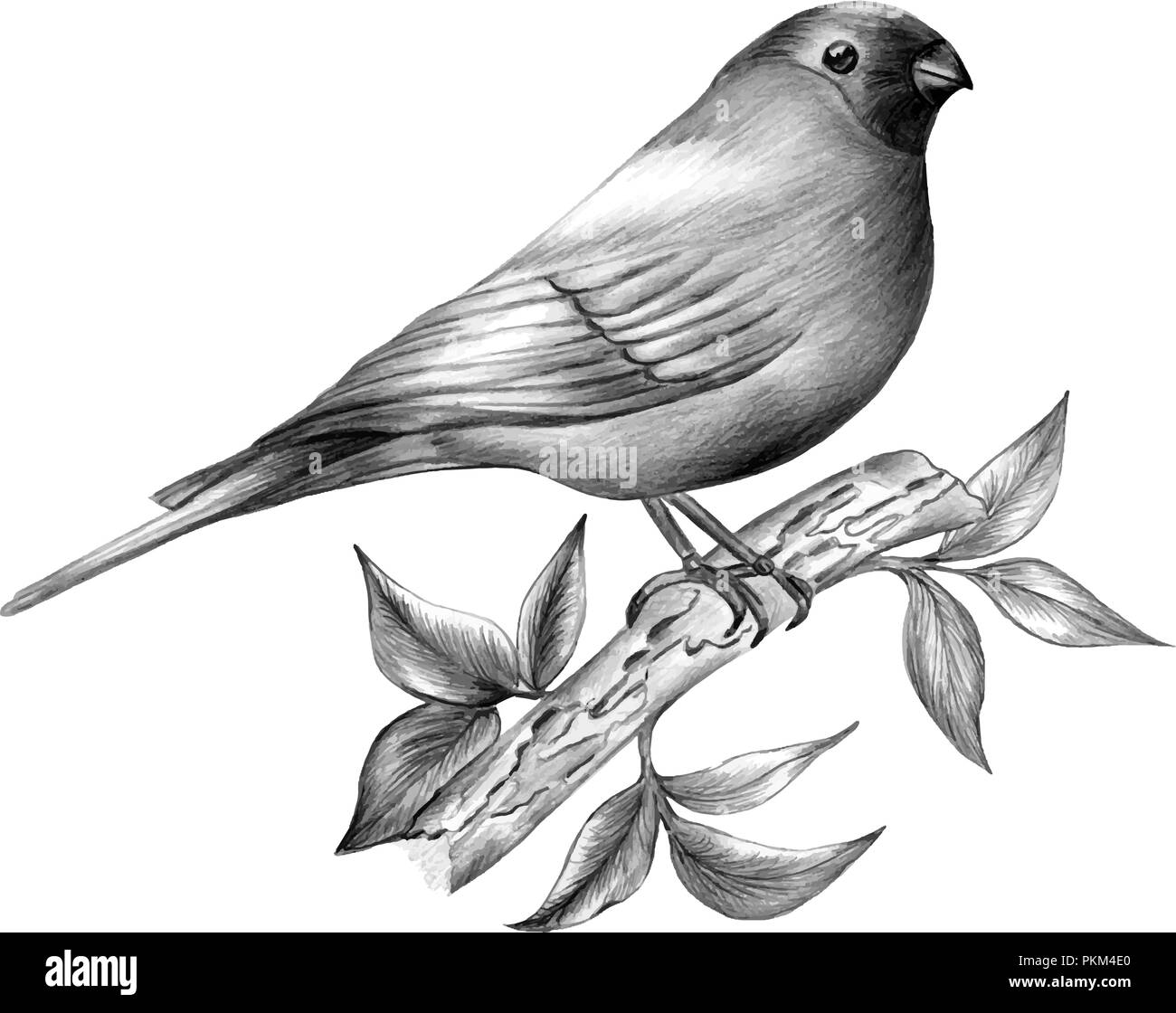 Monochrome floral Bündel mit Vogel. Zeichnungen, Tuschezeichnung, handgezeichnete Illustrationen., die Sie für die Gestaltung von Postkarten, Einladungen, Pakete verwenden können, Stock Vektor