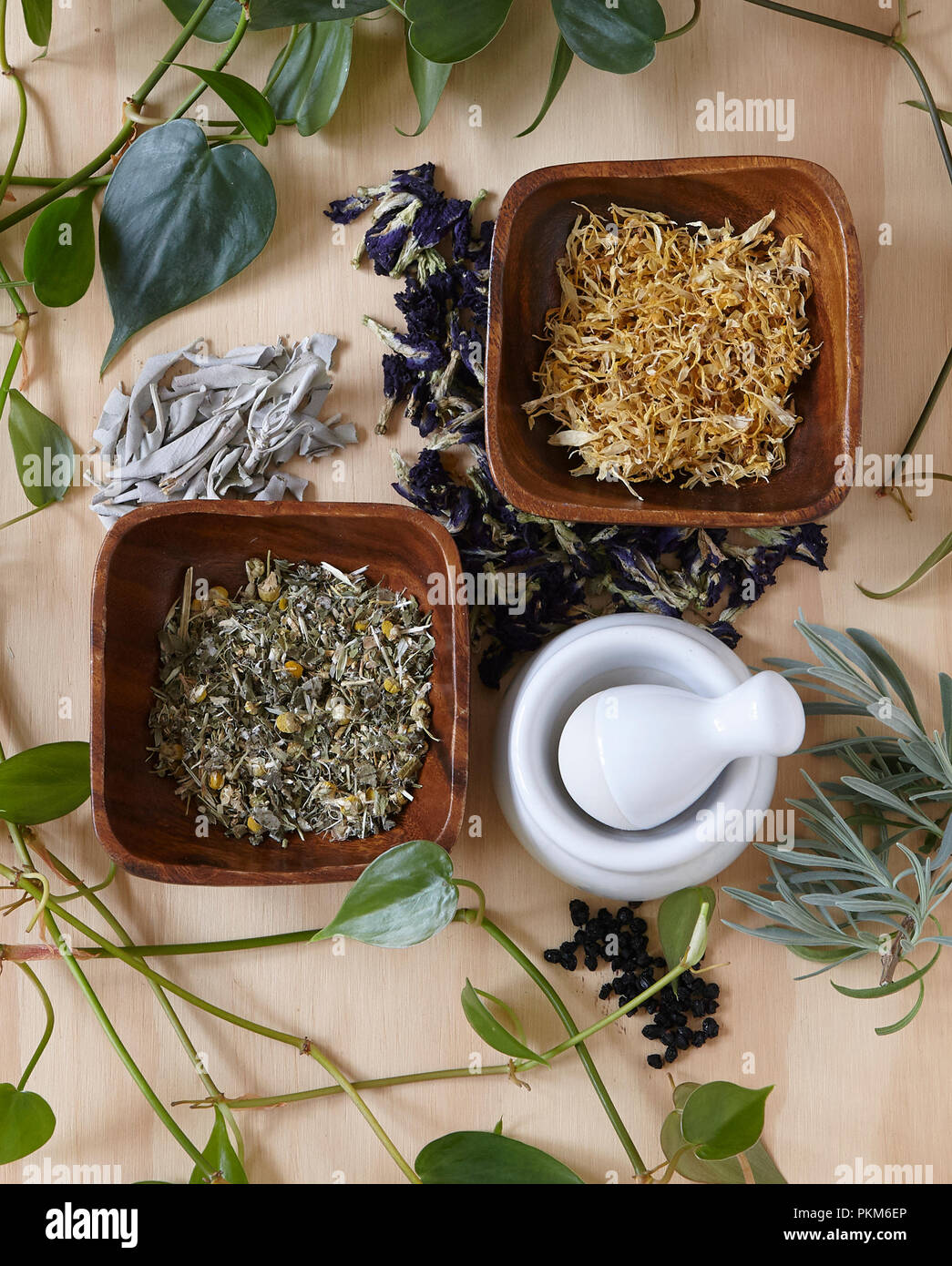 Produkt Schuß von Kräutern, mit einem Stößel und Mörser. Stockfoto