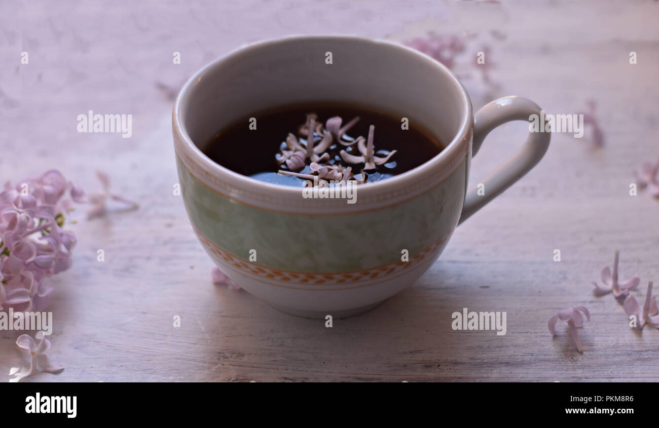 Lila Lila Blumen und Tasse Tee auf hellen Hintergrund/teatime/Frühling Hintergrund/gemütlich zu Hause / home Feder Dekoration Stockfoto