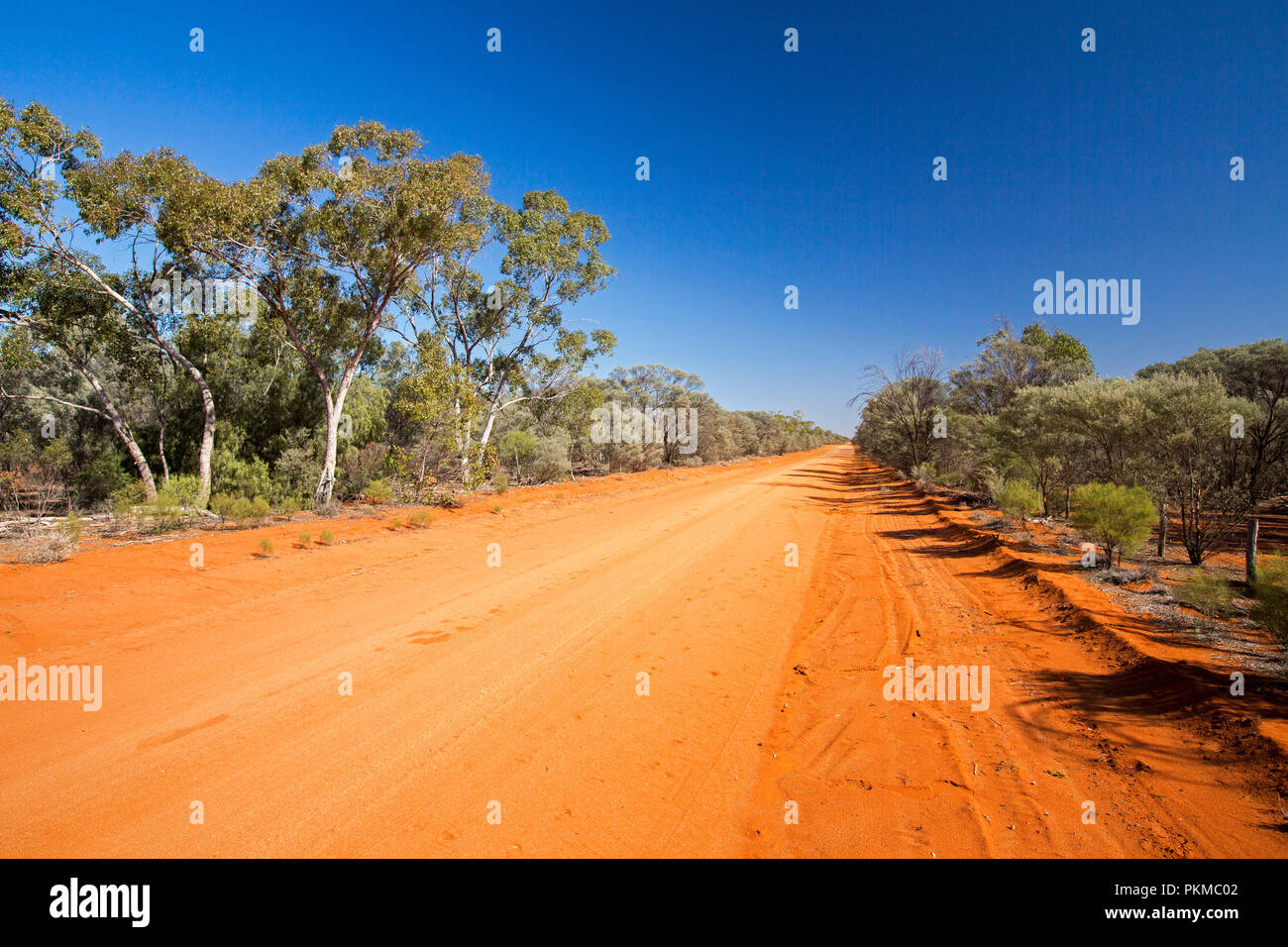 Lange rote australische Outback road Schneiden durch Landschaft mit Buschland und hohen Bäumen verdeckt gumj & Stretching zu Horizont unter blauem Himmel Stockfoto
