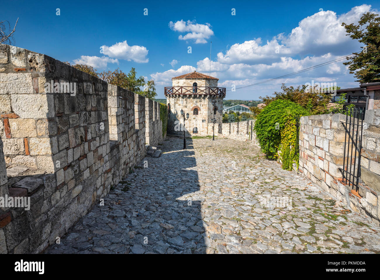 Die Festung Kalemegdan in Belgrad Stockfoto