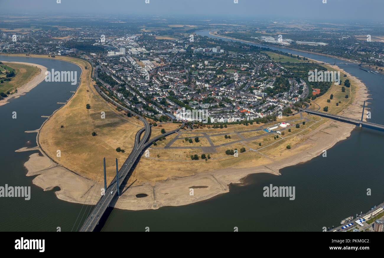 Luftaufnahme, Rheinwiesen Oberkassel, Ebbe auf dem Rhein, Dürre, Trockenheit, Rheinkniebrücke Brücke, Düsseldorf, Rheinland Stockfoto