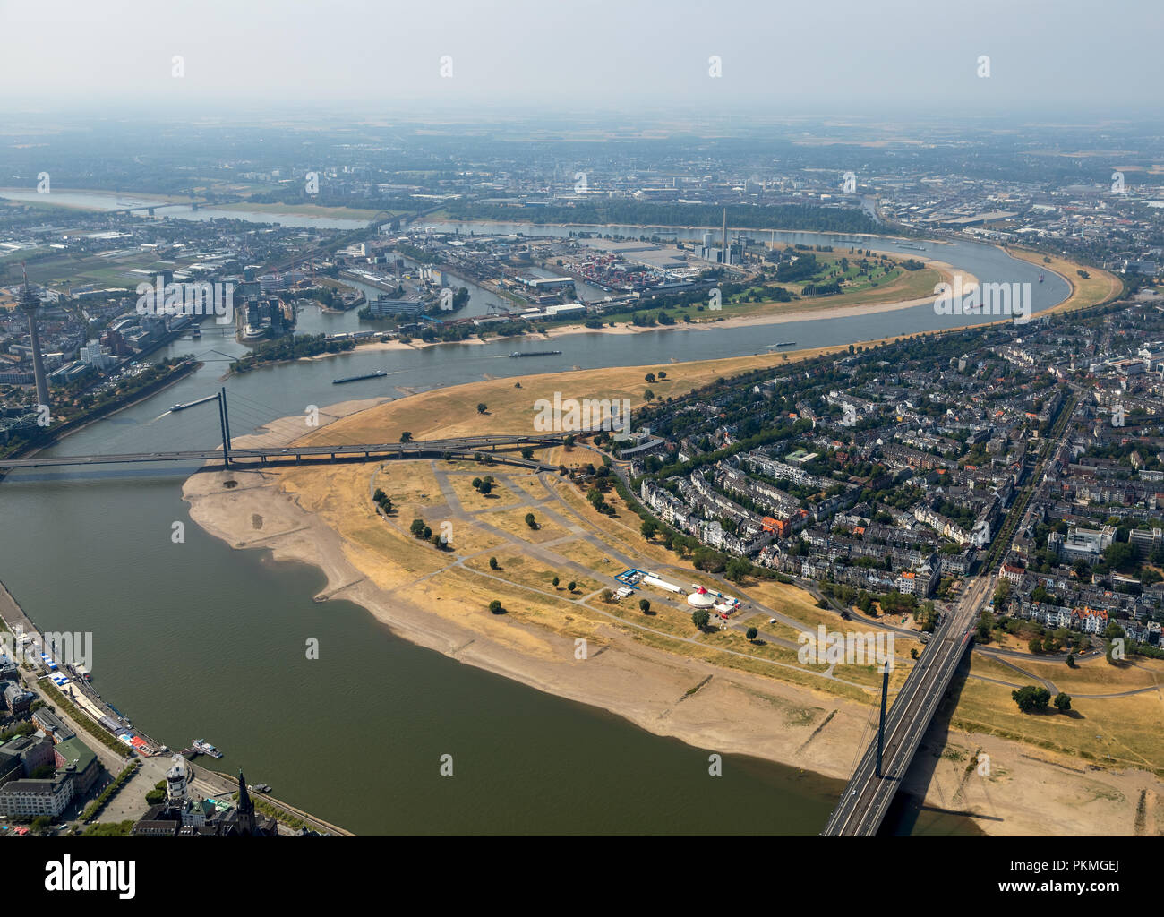 Luftaufnahme, Rheinwiesen Oberkassel, Ebbe auf dem Rhein, Dürre, Trockenheit, Rhein, Rheinkniebrücke, Düsseldorf, Rheinland Stockfoto