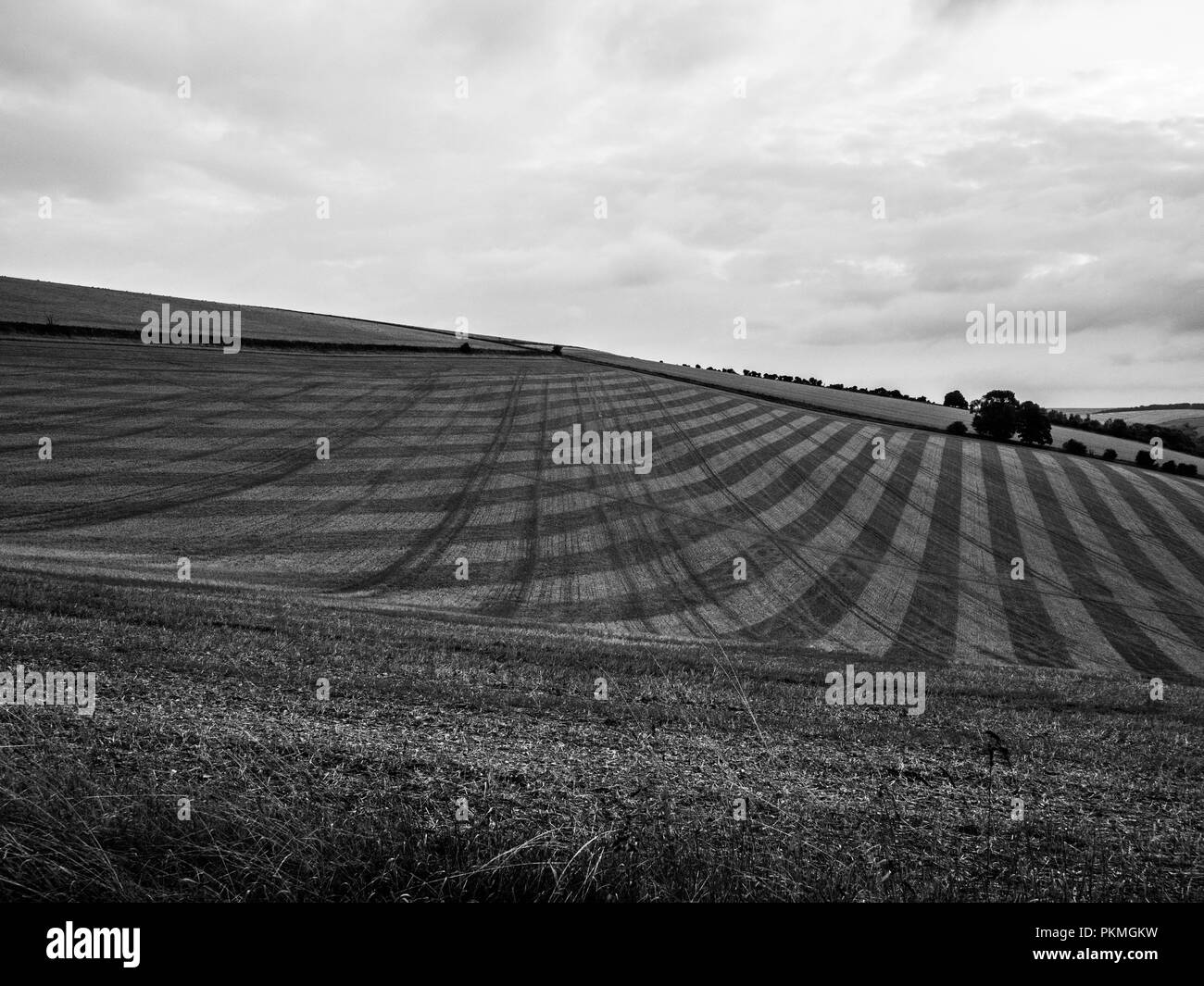 Eine Spätsommer Abend Spaziergang oben Brixton Deverill in Wiltshire, Muster in einem Feld. Stockfoto