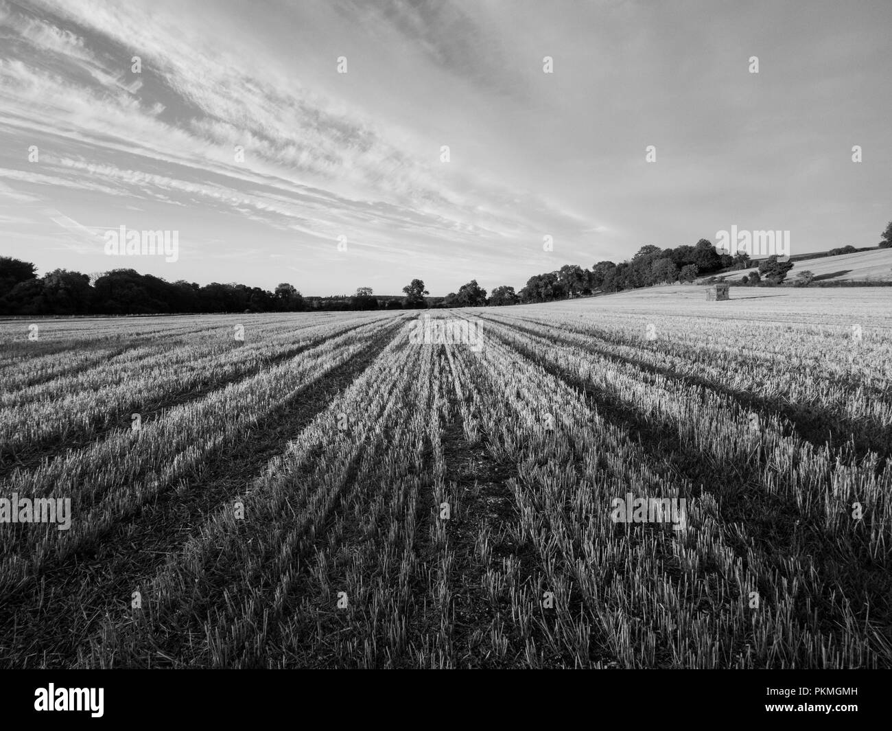 Eine Spätsommer Abend Spaziergang oben Brixton Deverill in Wiltshire, mit spektakulärem Himmel Stockfoto