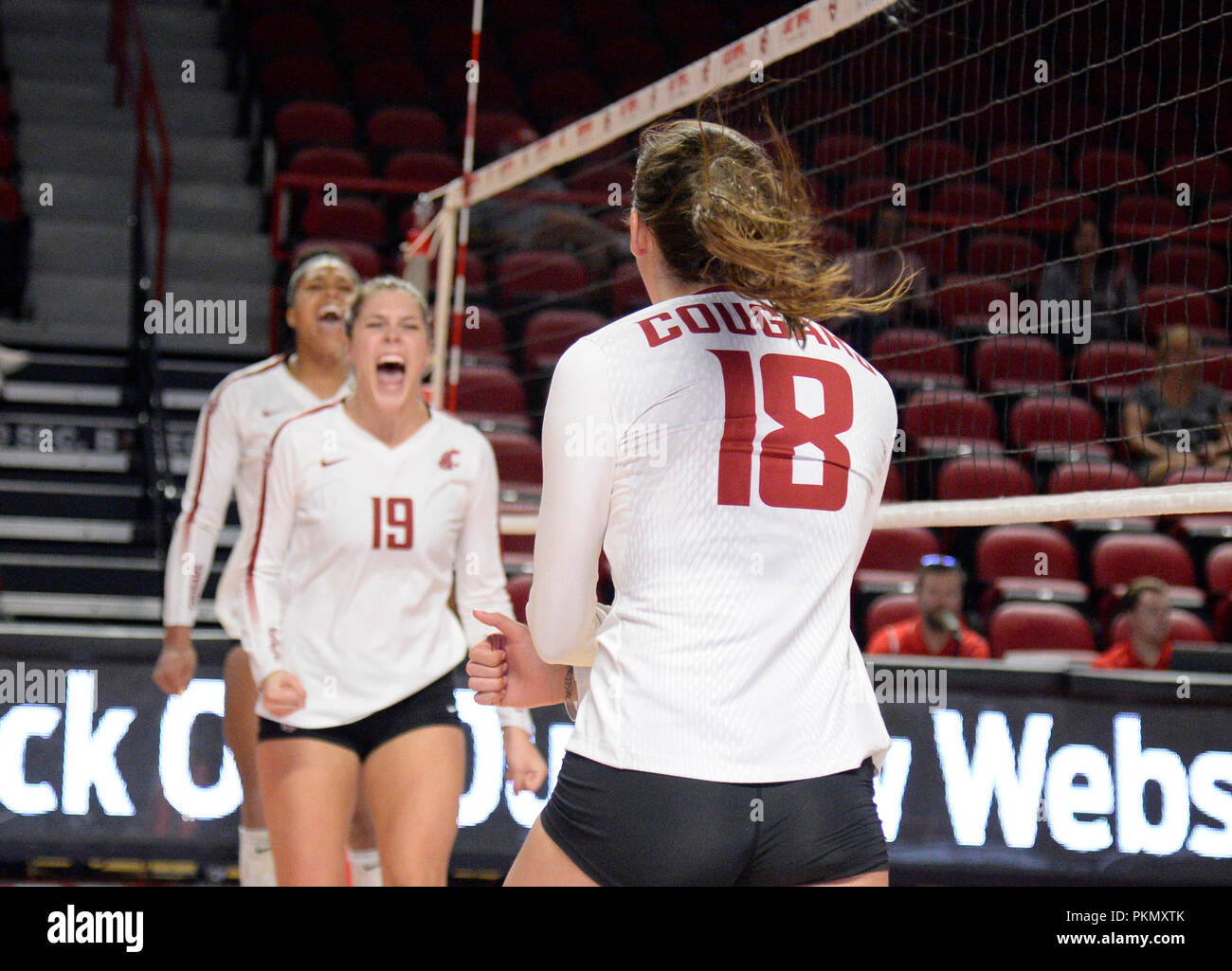 14. September 2018 Washington State Cougars Ashley Brown (19) und die Washington State Cougars Ella Lajos (18) feiern ein Punkt in einem Match zwischen dem nördlichen Illinois Schlittenhunde und die Washington State Cougars an E.A. Diddle Arena in Bowling Green, KY. Fotograf: Steve Roberts. Stockfoto