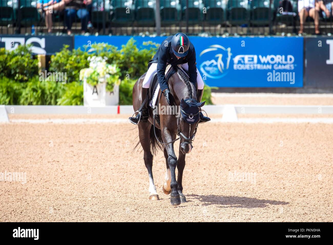 Tryon, USA. 14. September 2018. Simone Sordi. Amacuzzi. ITA. Eventing Dressur. Tag 4. World Equestrian Games. WEG 2018 Tryon. North Carolina. USA. 14.09.2018. Credit: Sport in Bildern/Alamy leben Nachrichten Stockfoto
