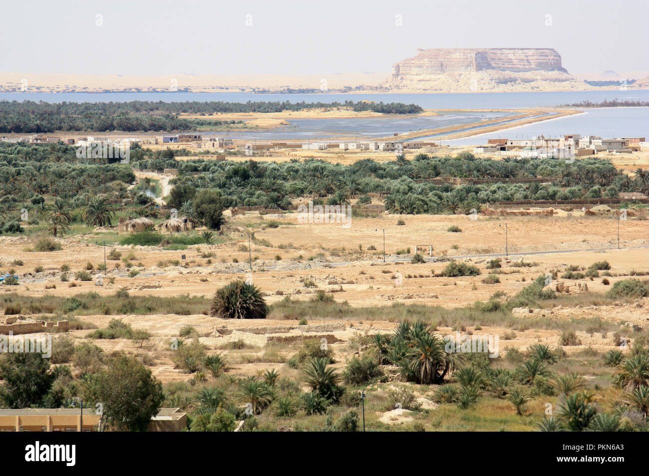 Frisches Wasser See neben Siwa, Oase Siwa, Ägypten Stockfoto