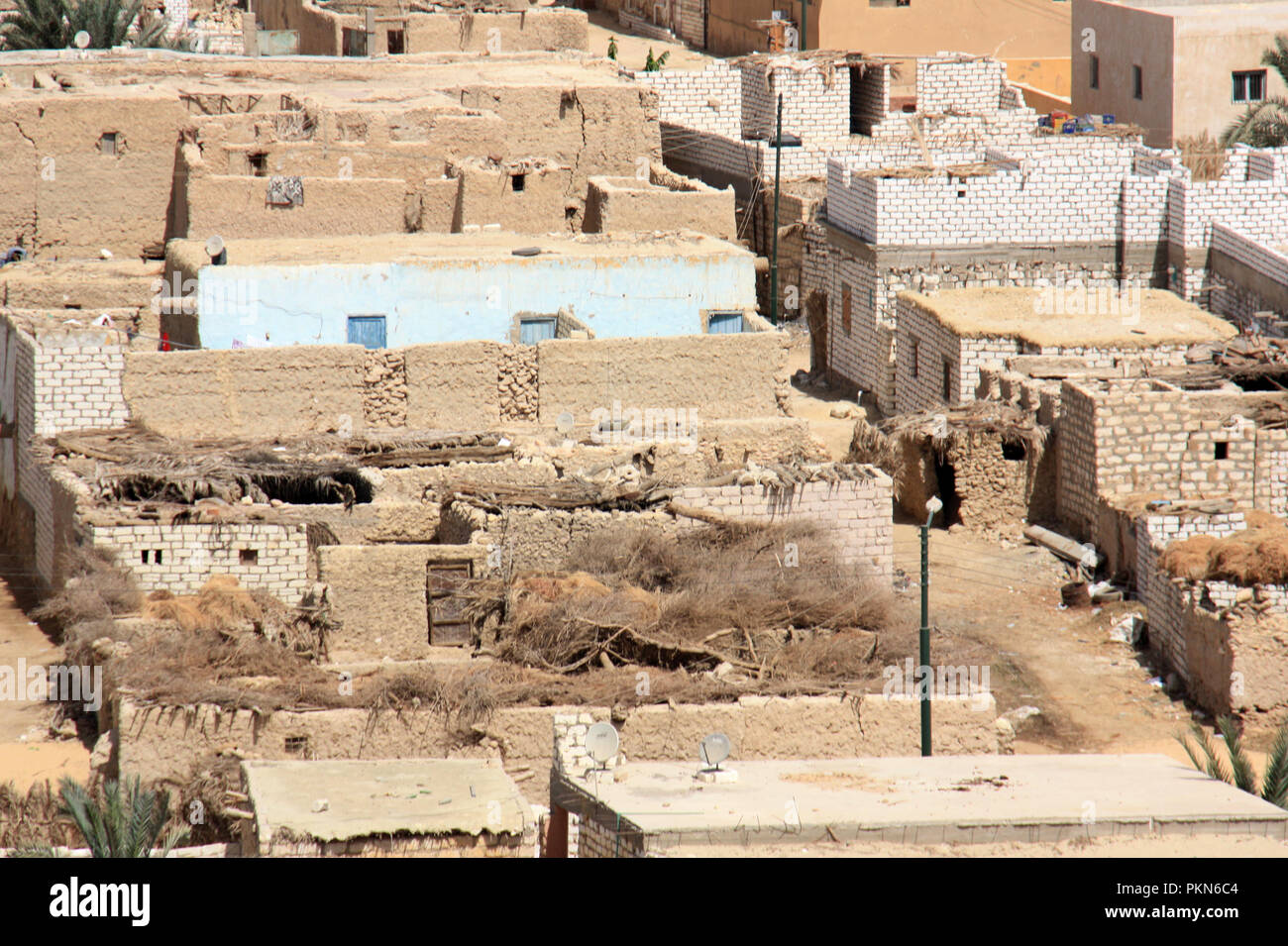 Einfache Lehm gemauerte Häuser in Siwa, Oase Siwa, Ägypten Stockfoto