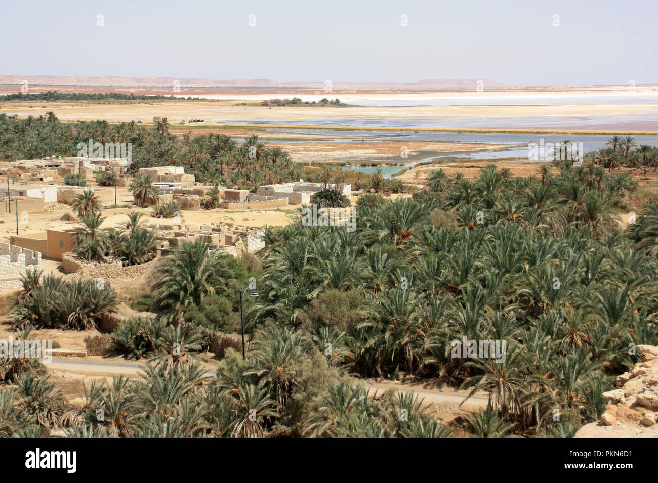 Datum Palm Plantation und Salz Teiche neben einem großen Salzsee in Siwa, Oase Siwa, Ägypten Stockfoto