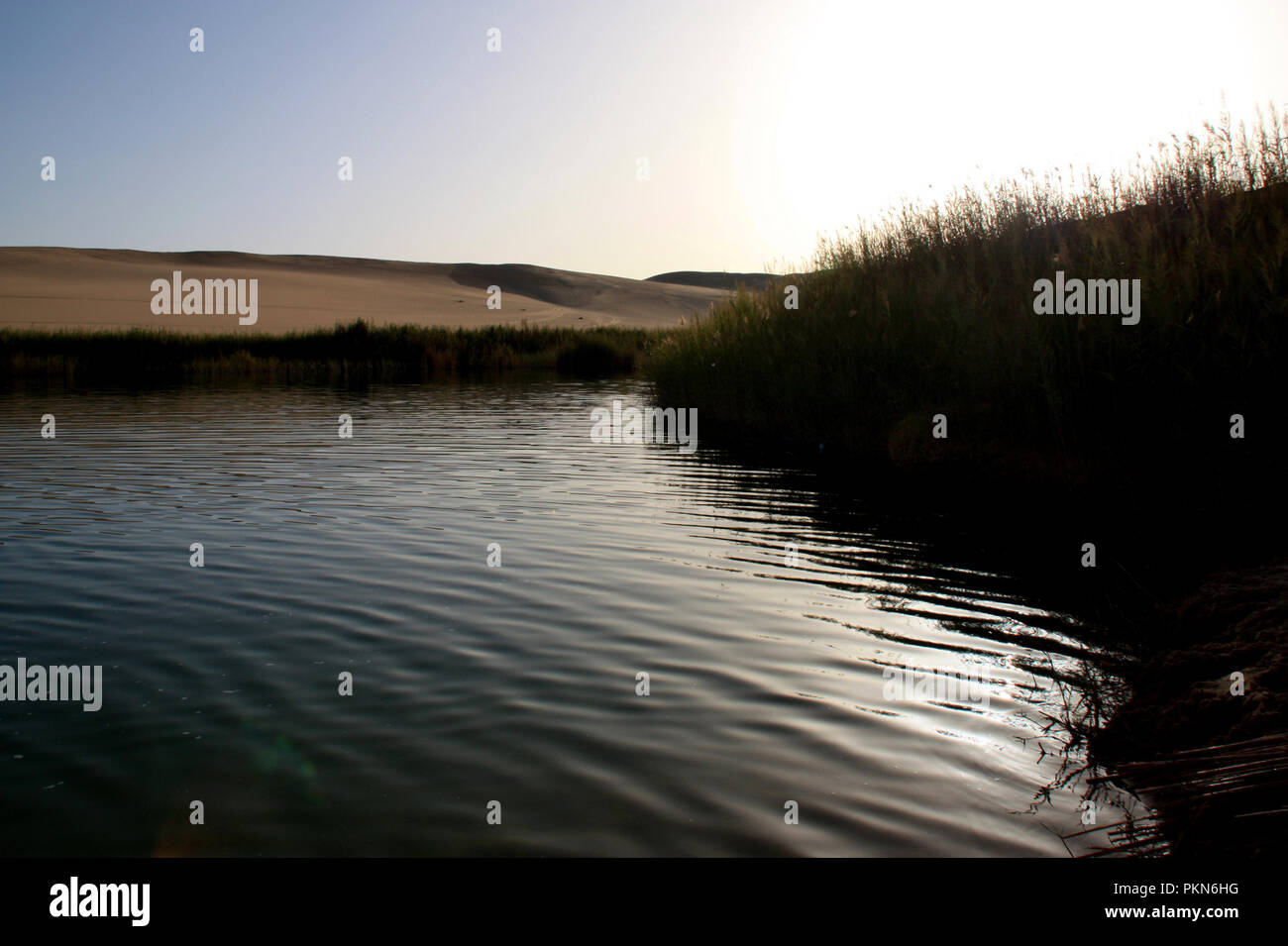 Life-giving Süßwassersee in der Mitte der Sahara Wüste in der Nähe der Oase Siwa, Ägypten Stockfoto