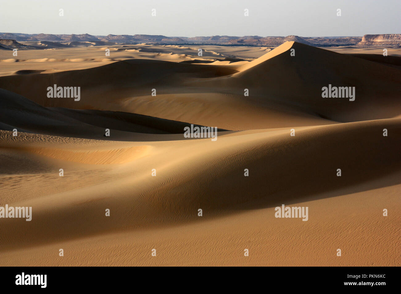Schönen Sanddünen in der Wüste Sahara in der Nähe der Oase Siwa, Ägypten Stockfoto Schönen Sanddünen in der Wüste Sahara in der Nähe der Oase Siwa, Ägypten Stockfoto