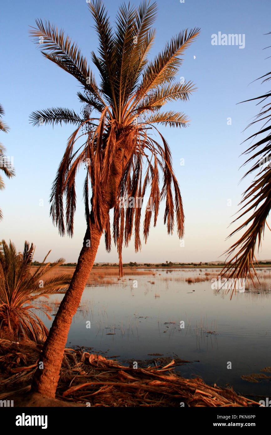 Schönen Sonnenuntergang von Fatnas Island, einer Insel in der Oase Siwa in der ägyptischen Wüste Sahara gesehen Stockfoto