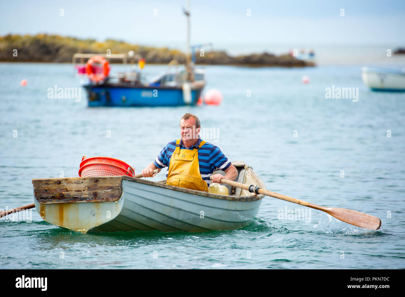 Action-Aufnahme des traditionellen britischen Fischers isoliert in Ruderboot, Rudern auf See. Stockfoto