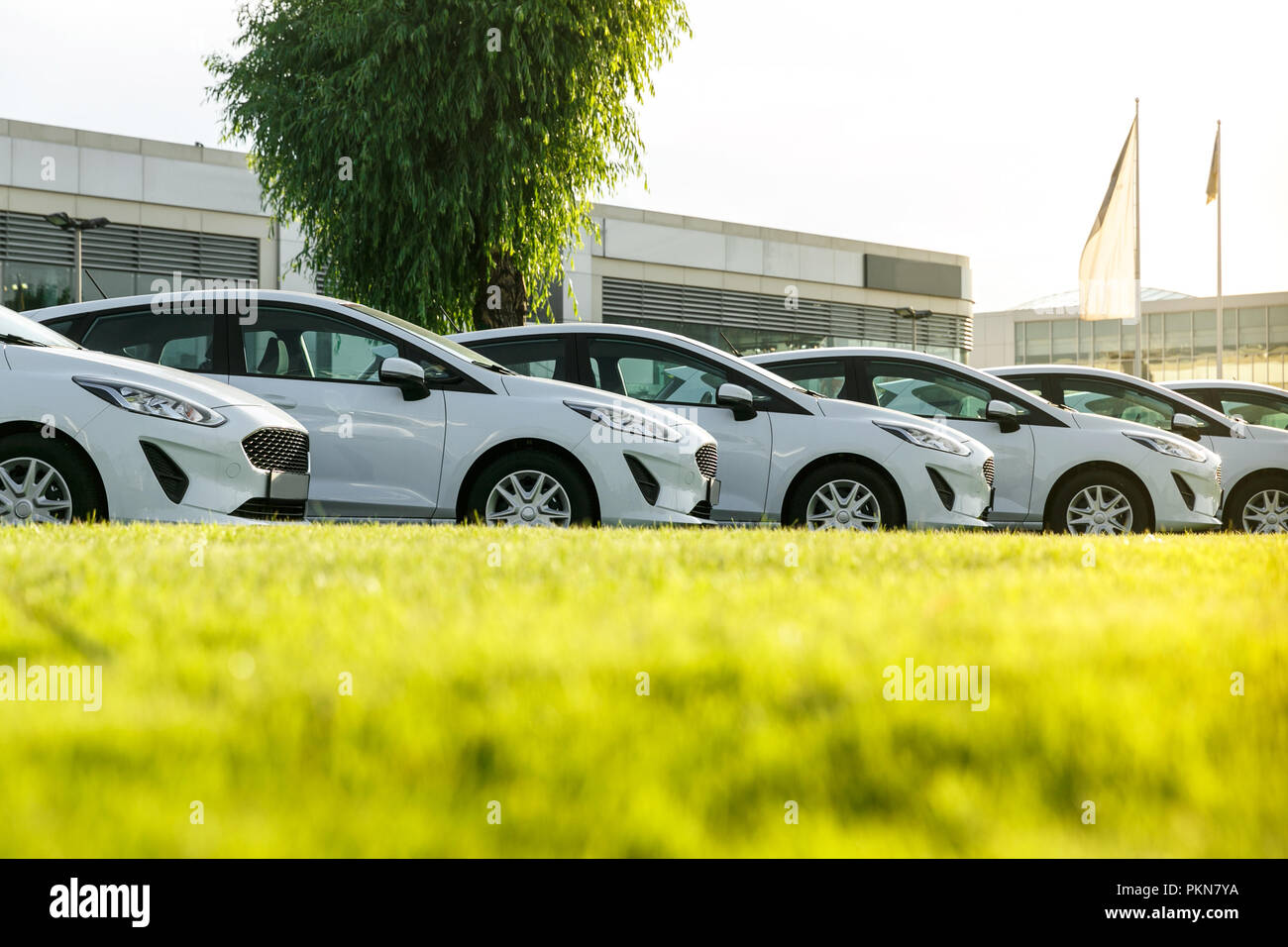 Reihe der Marke neue weiße Autos auf Lager im Autohaus. Unverkaufte Autos für Verkauf. Stockfoto