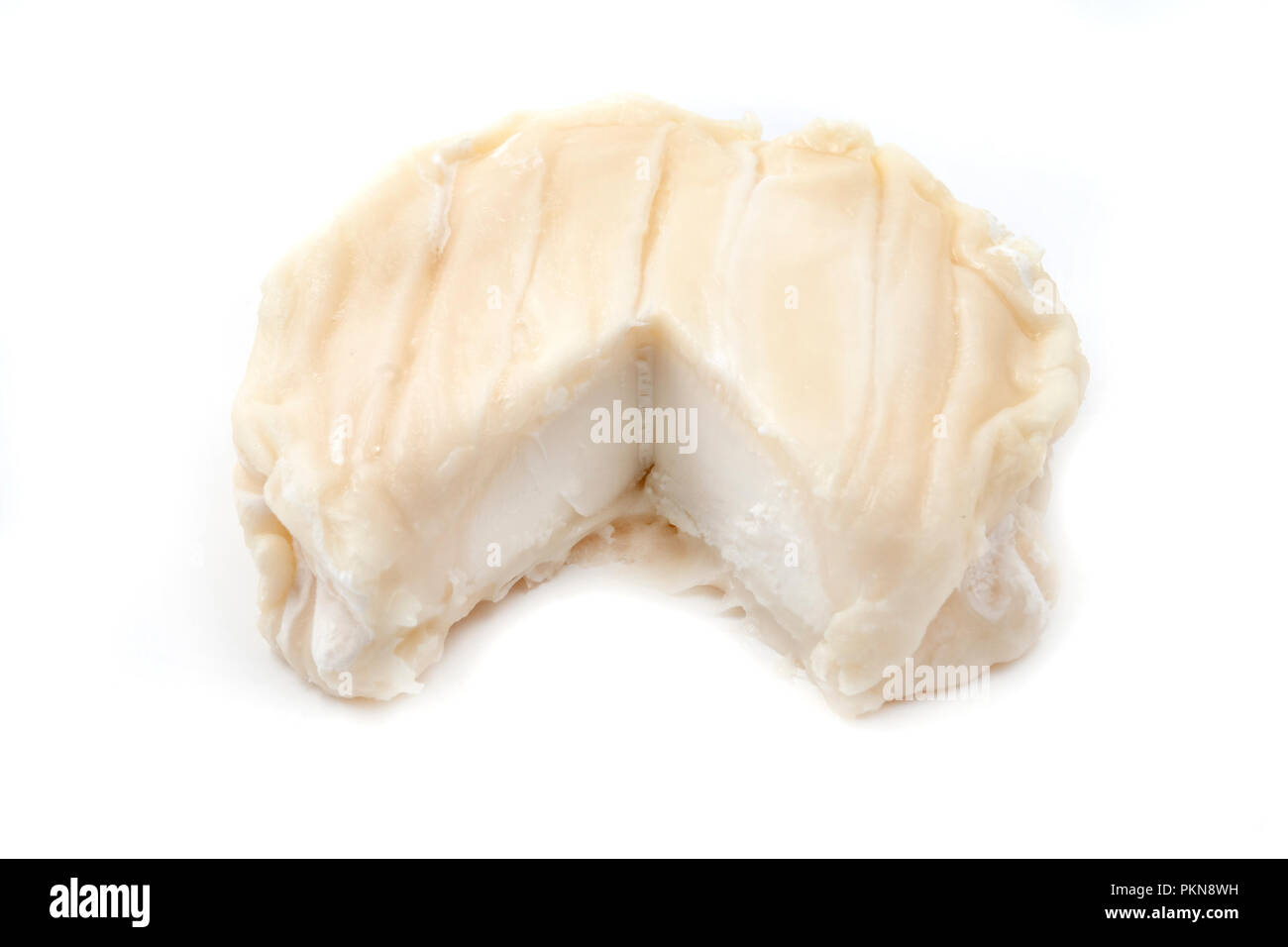 Picodon, einem weichen Französisch ziegen Milch Käse, auf weißem Hintergrund Stockfoto