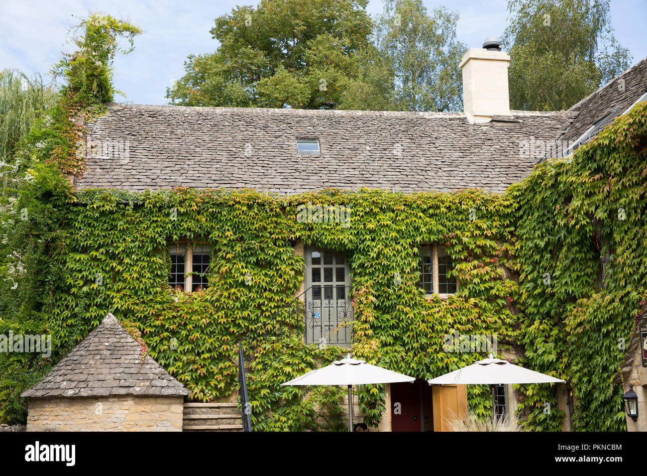 Einen malerischen Innenhof in den Cotswolds Dorf Lower Slaughter mit üppigen grünen kriechende Efeu für Gebäude aus Stein Stockfoto