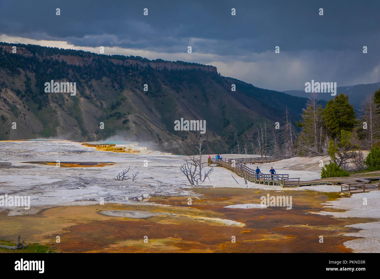 Seitwärts des Kanarischen Frühling und Terrassen in den Mammoth Hot Spring Bereich der Yellowstone National Park Stockfoto