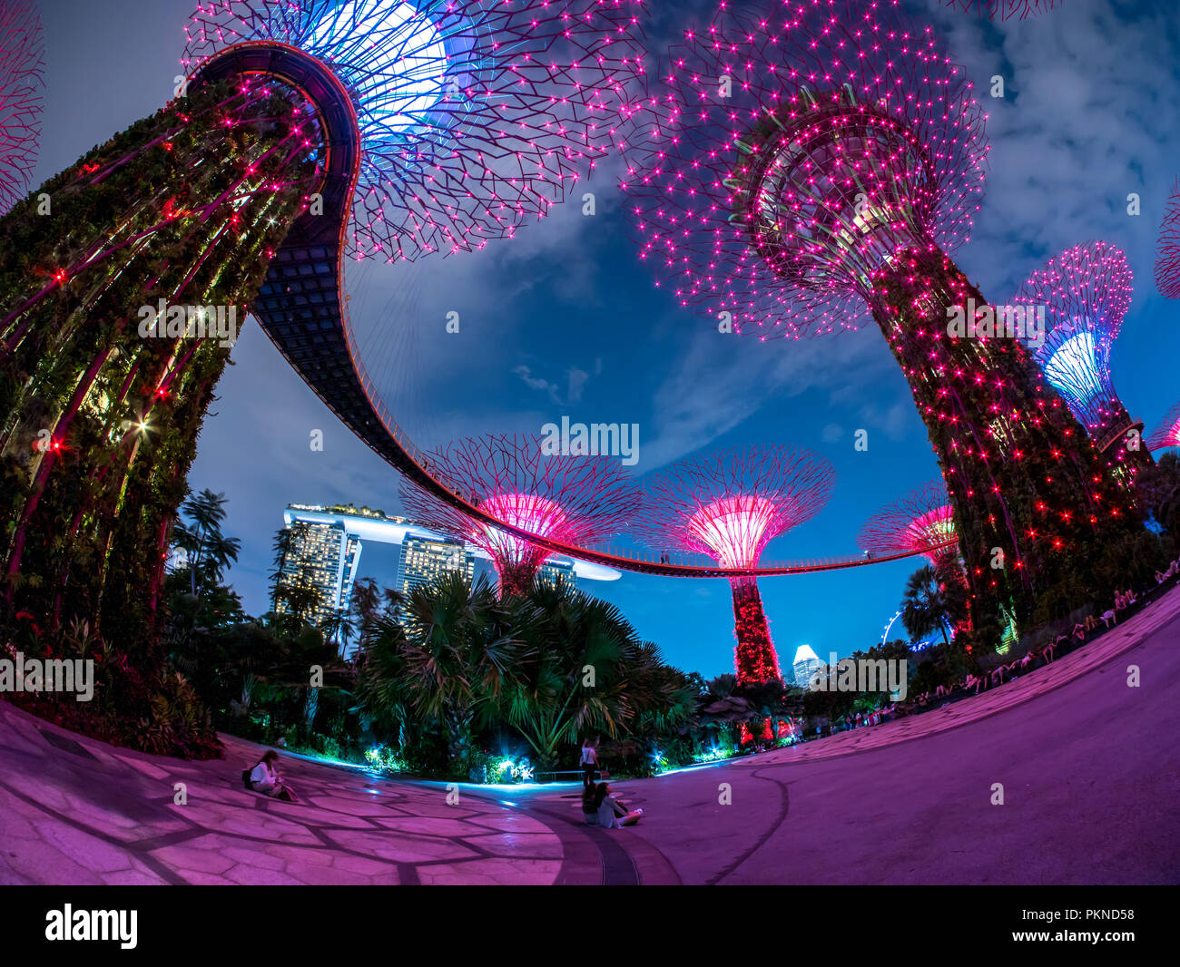 Garten durch die Bucht (Super-Tree Park) ist Wahrzeichen von Singapur bei Nacht. in der Nähe von Marina Bay Sand Stockfoto