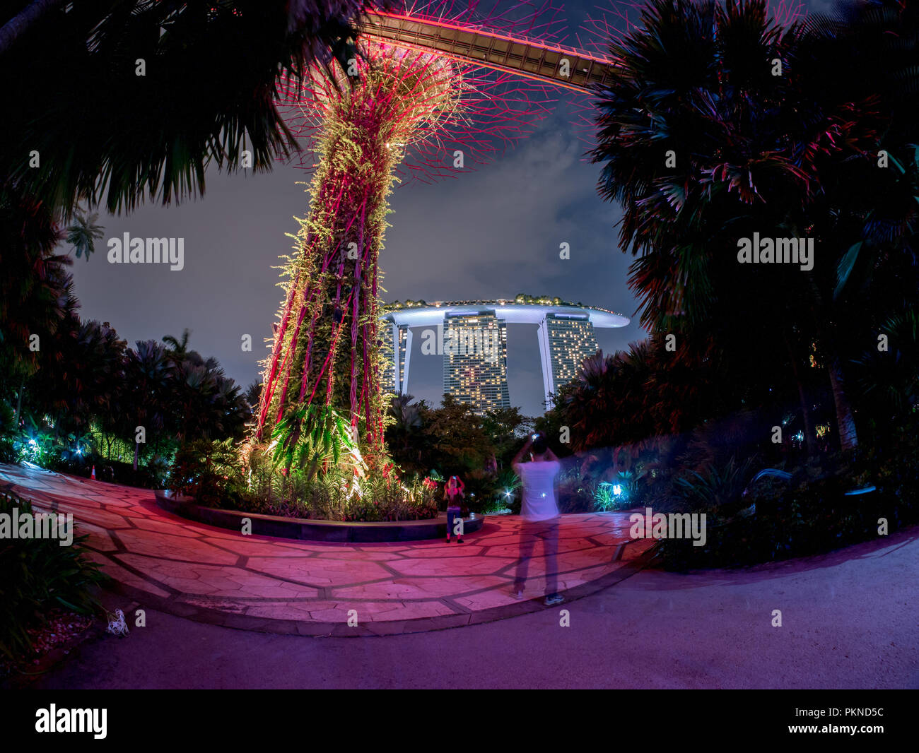 Garten durch die Bucht (Super-Tree Park) ist Wahrzeichen von Singapur bei Nacht. in der Nähe von Marina Bay Sand Stockfoto