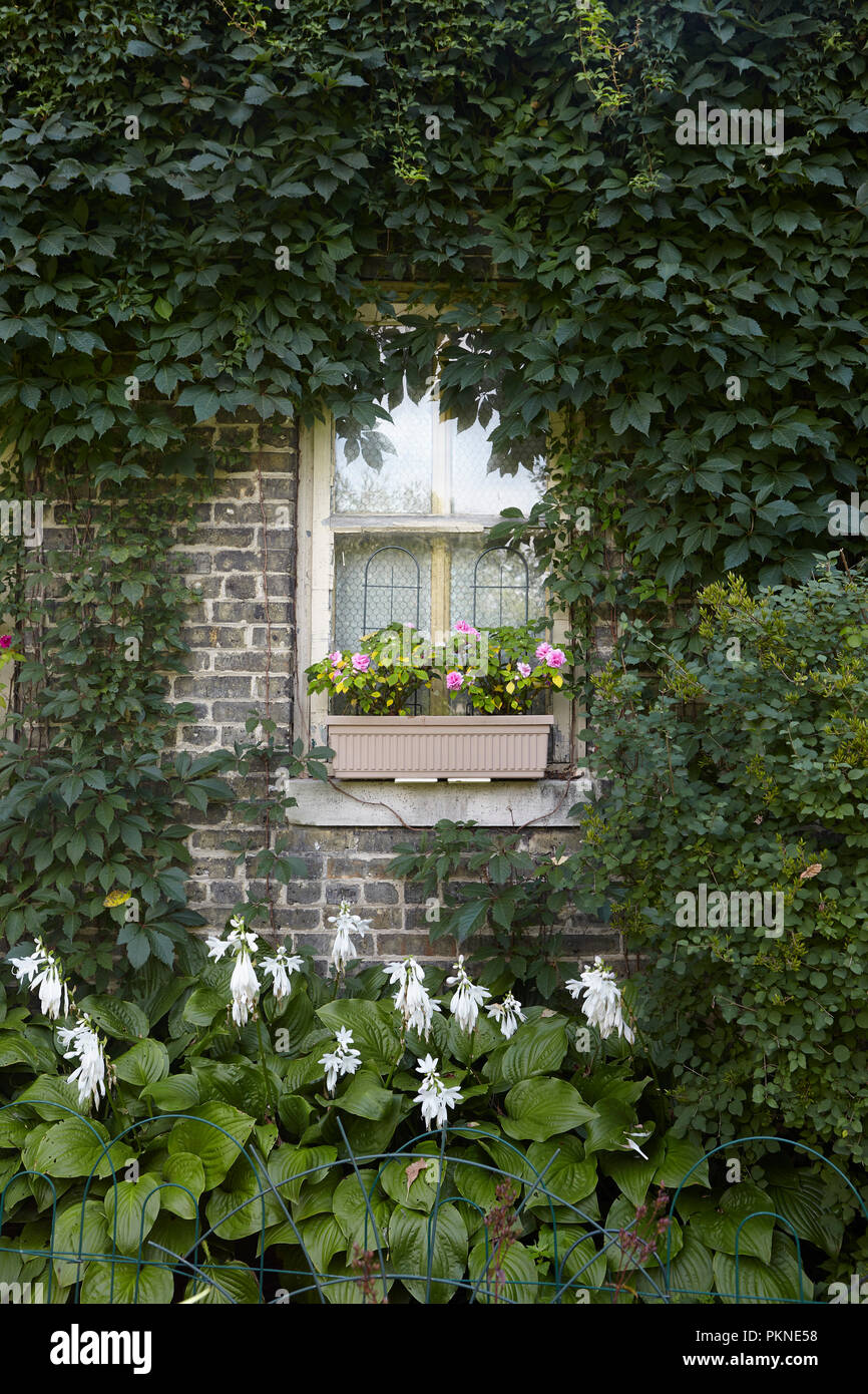 Blumenkästen in einem Garten. Stockfoto