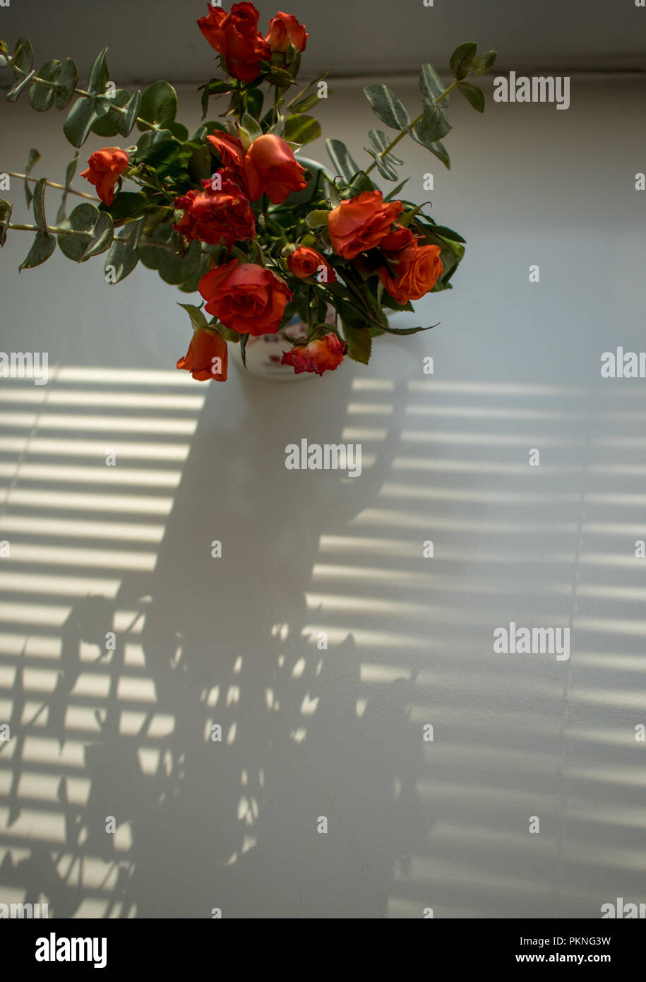 Eine elegante Rose trockener Rose Stockfoto