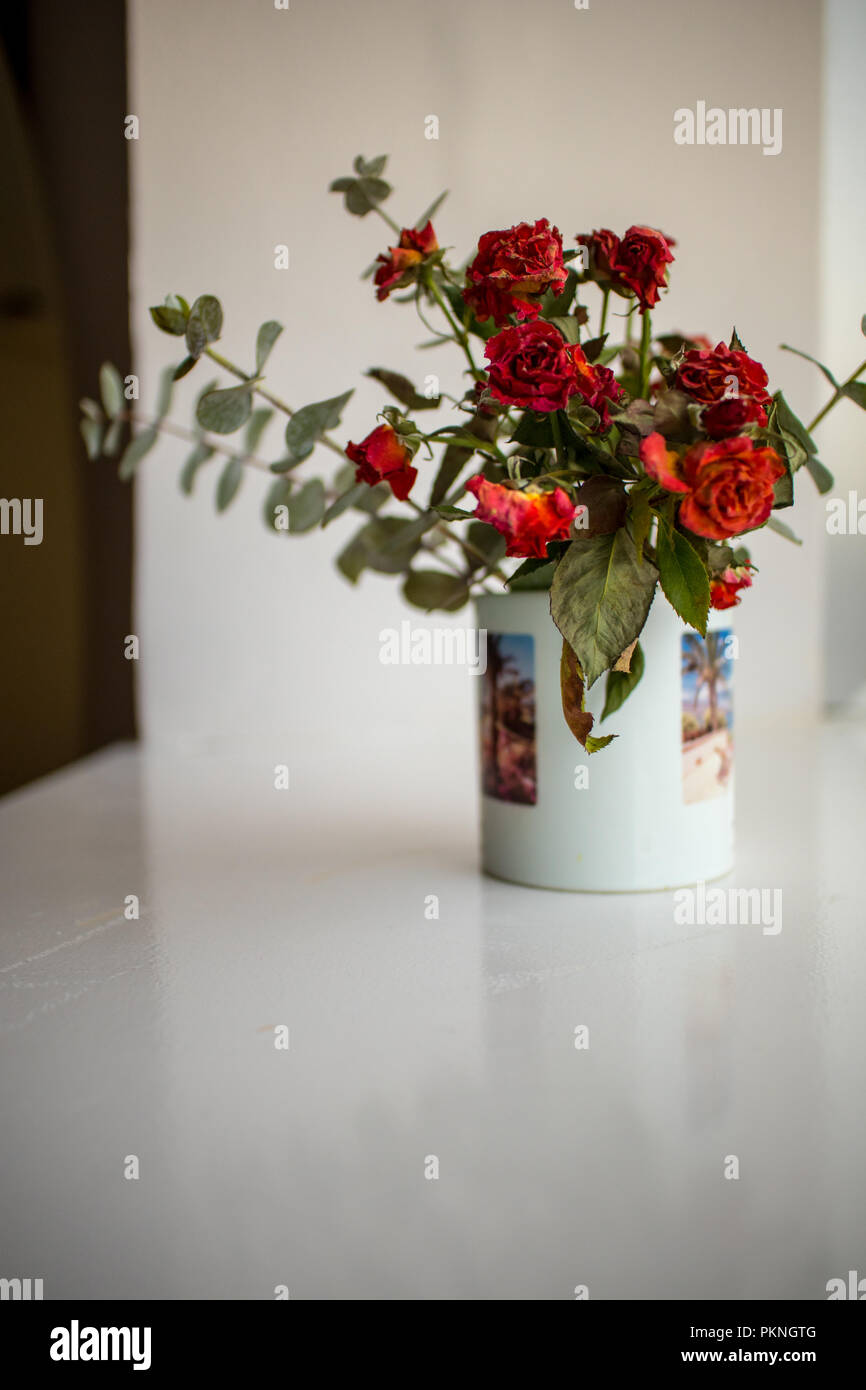 Eine elegante Rose trockener Rose Stockfoto