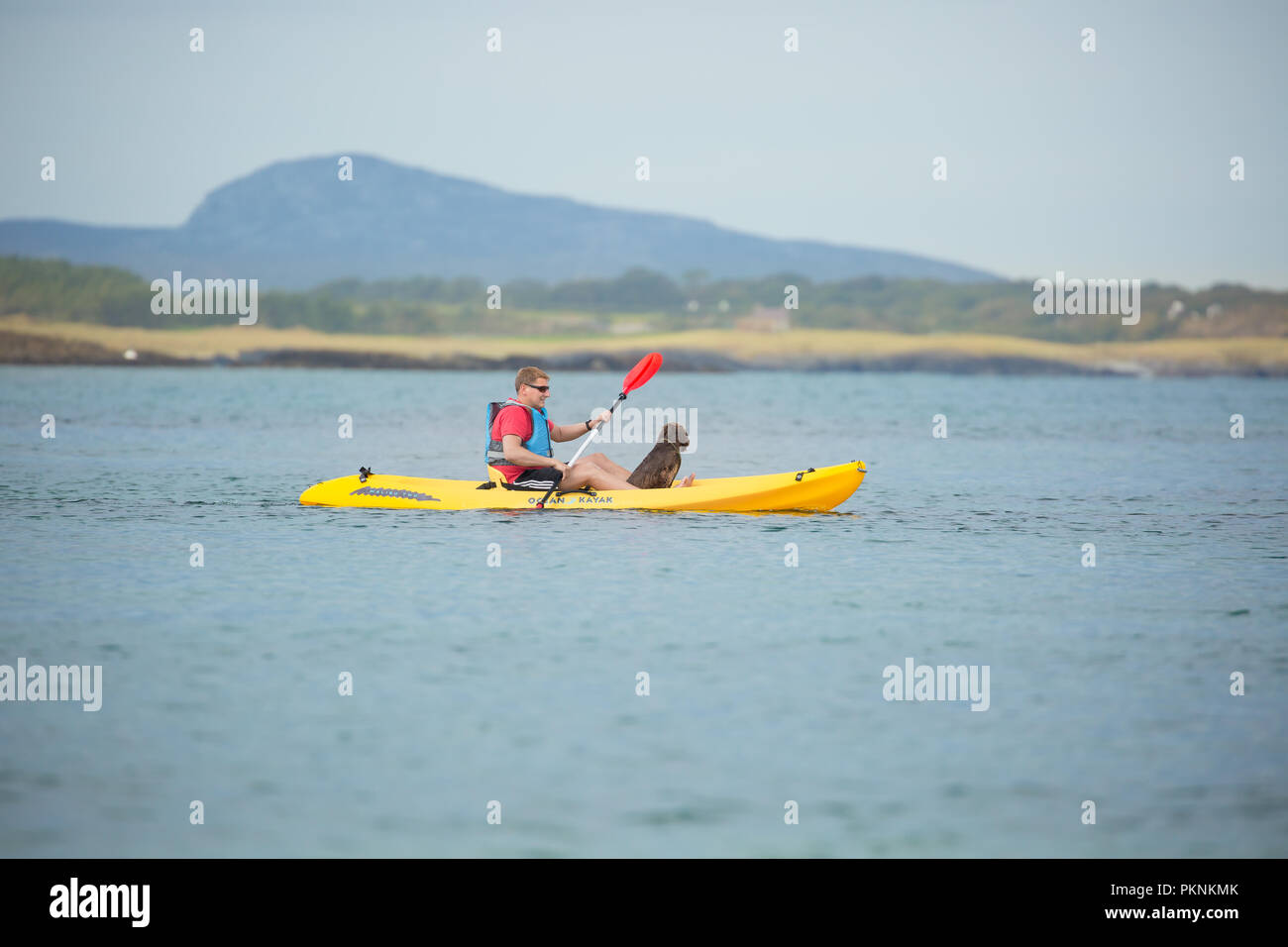 Action-Aufnahme eines Mannes, der mit seinem Hund im gelben Kajak um das Wasser einer Meeresbucht in Anglesey, Nordwales, paddelt. Aufenthalt in Großbritannien. Stockfoto