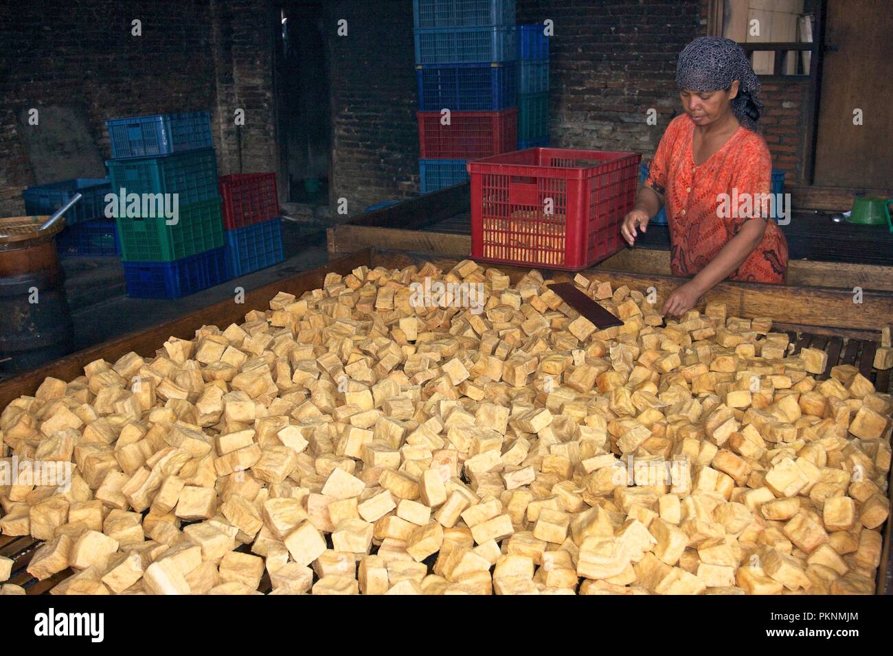 In der Tofu-Fabrik, Java, Indonesien. Stockfoto