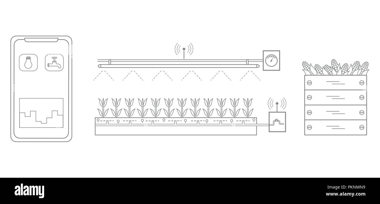 Smart Farm und Landwirtschaft. Überwachung und Steuerung von Temperatur, Luftfeuchtigkeit, Licht. Anbau von Pflanzen. Neue Technologien. Hoher Ertrag. Stock Vektor