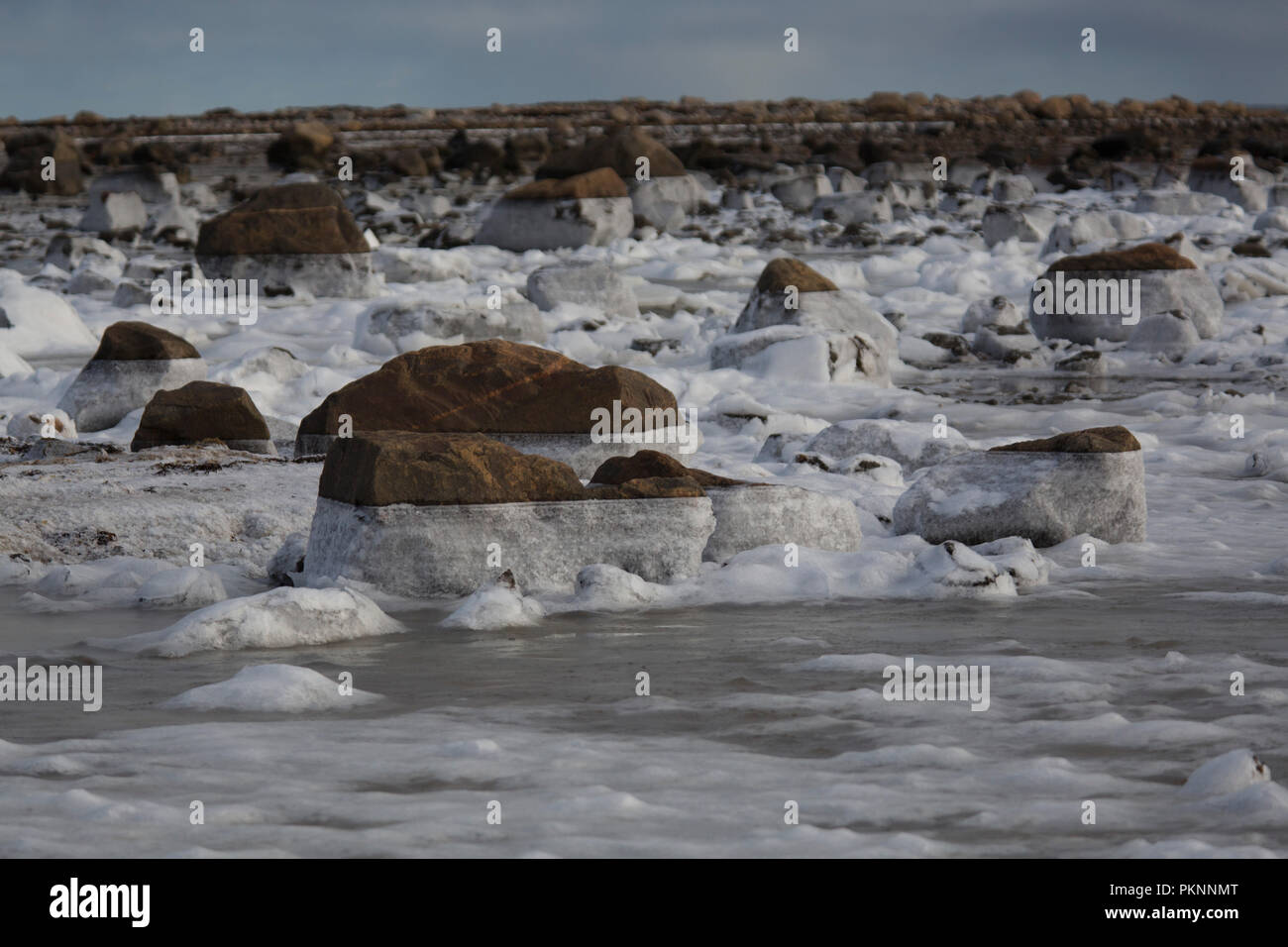 Vereisten Felsen der Küste der Hudson Bay in Manitoba, Kanada. Die tida; Shift hat Eis auf den Felsen links. Stockfoto